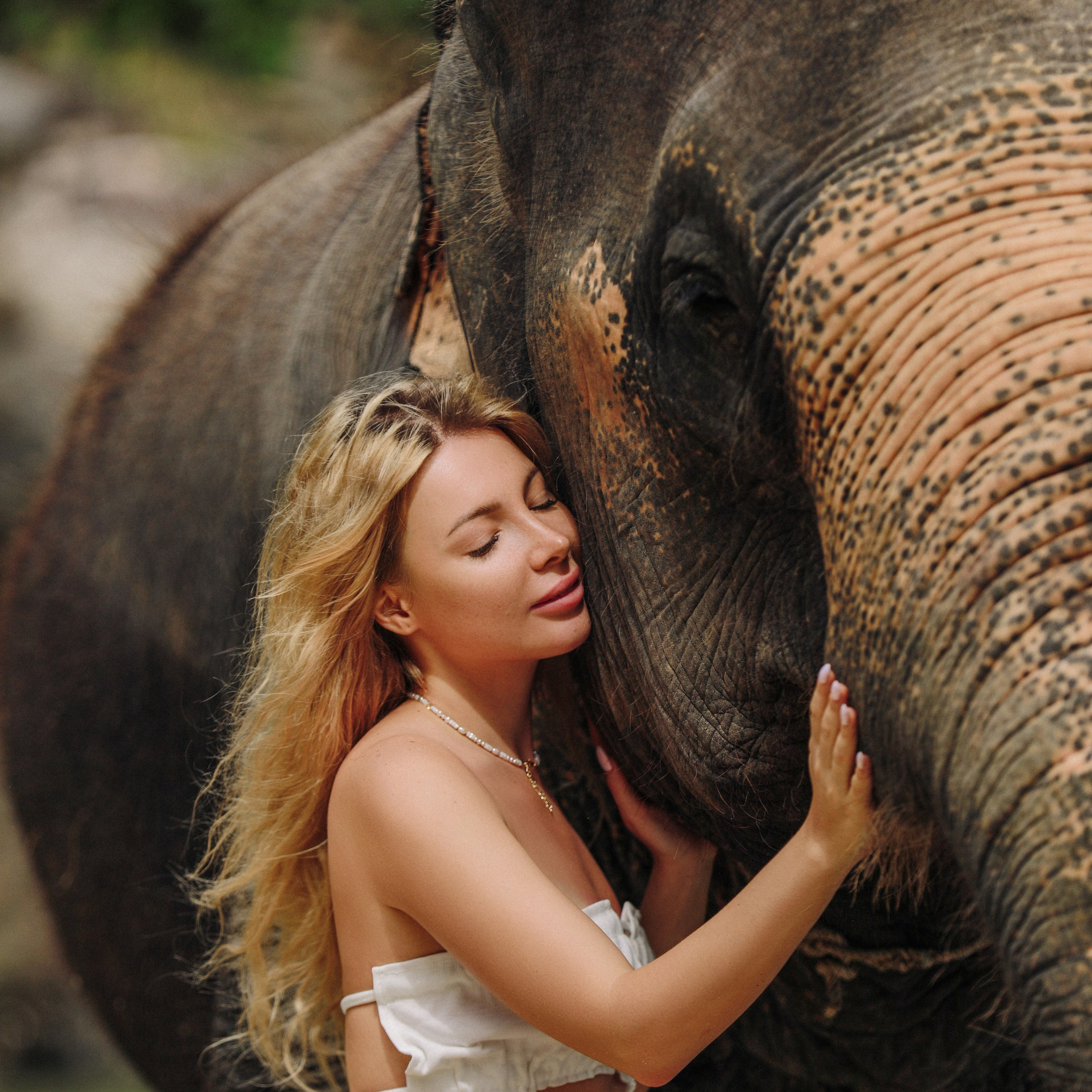 Фото со слонами 
