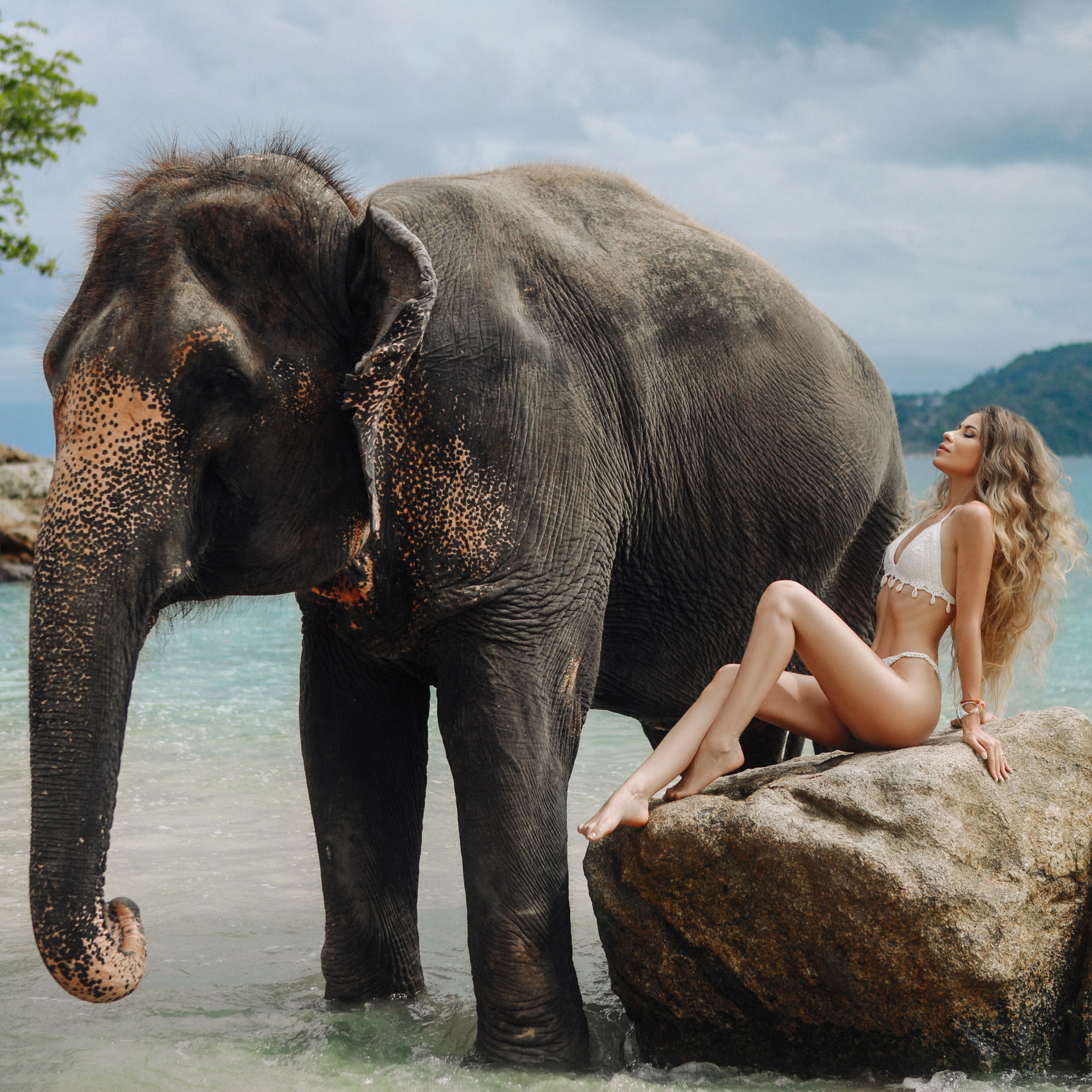 Фотосессия со слониками