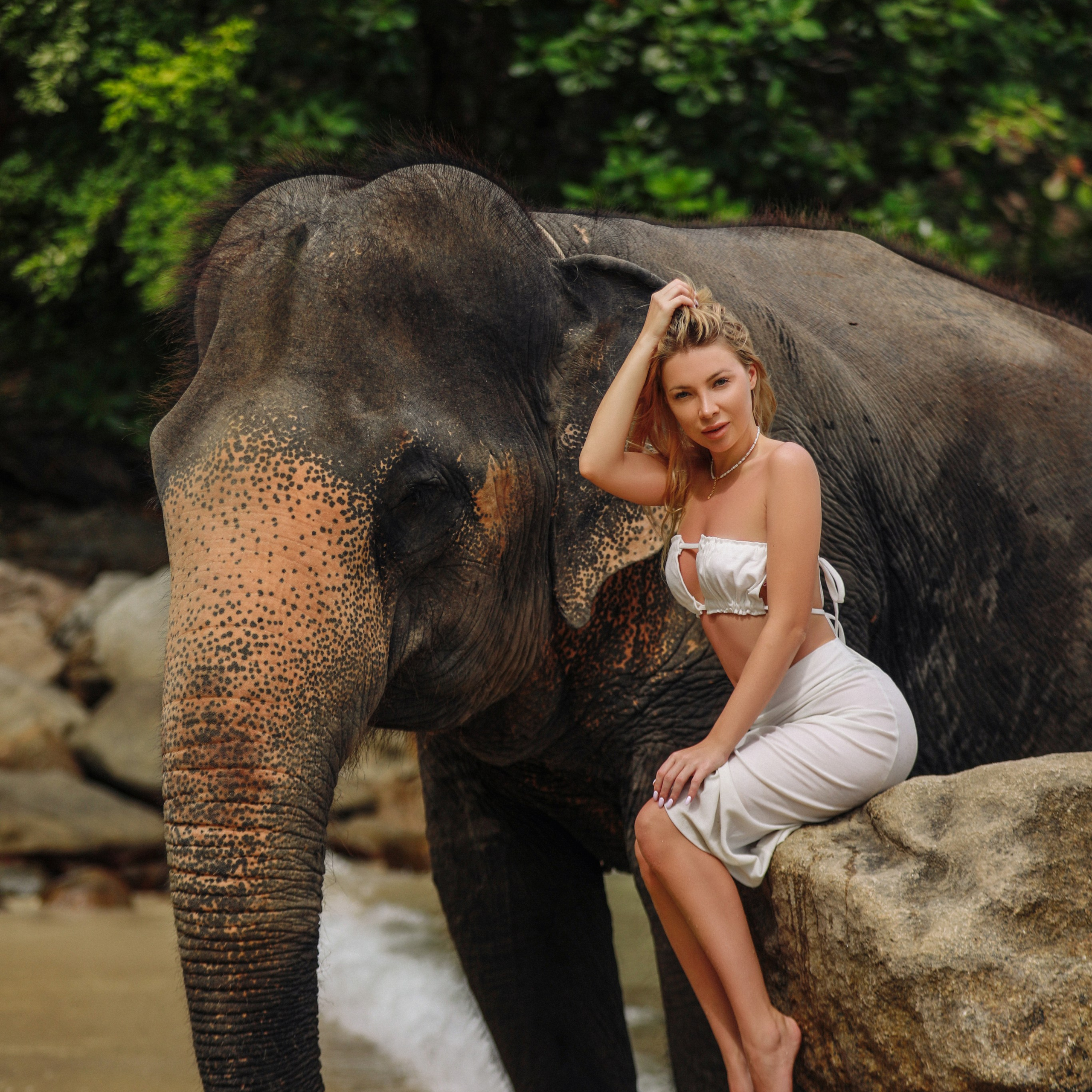 Фотографии со слонами на пляже 