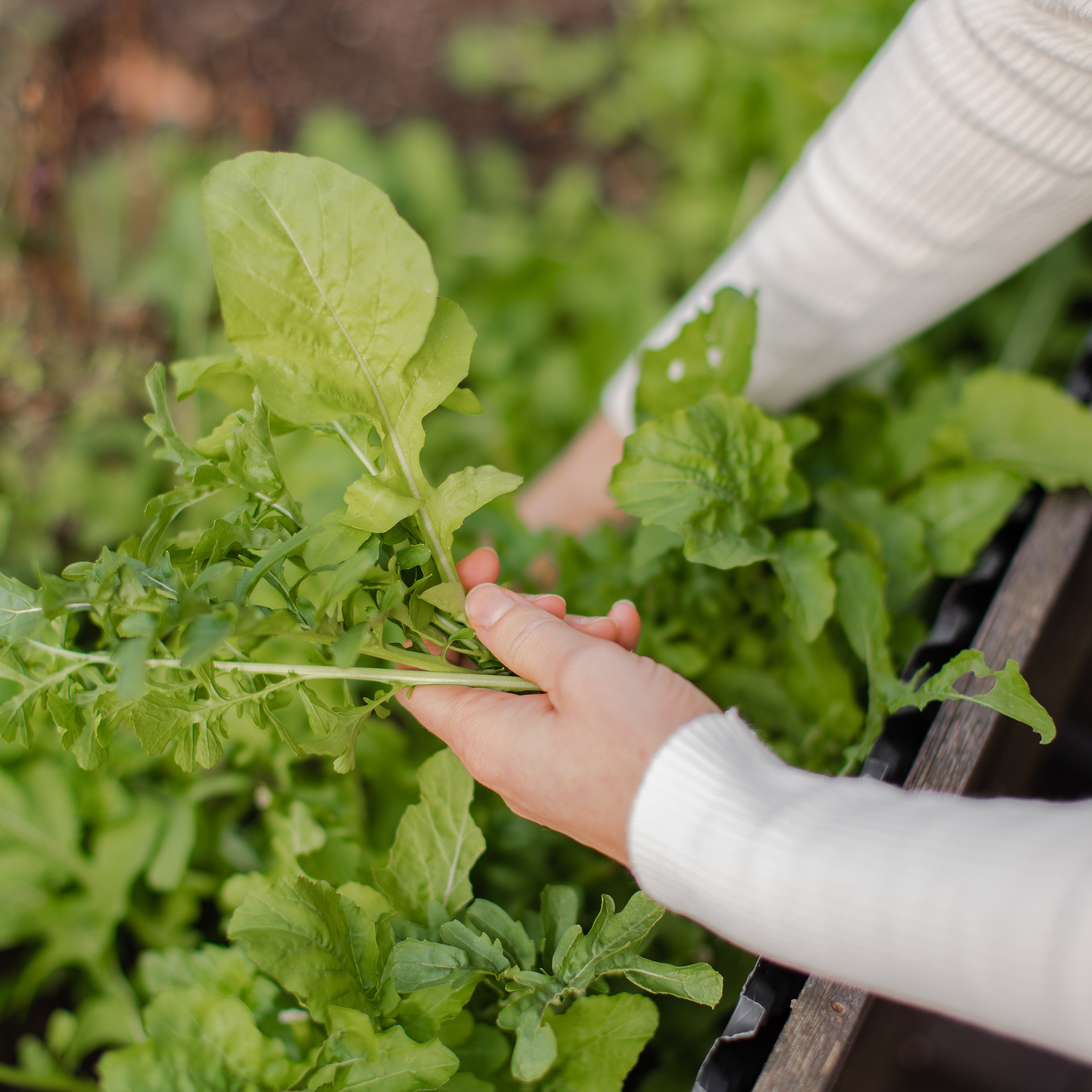 brandshooting osnabrück, werbefotografie, content für social media, content fotograf osnabrück, fotograf osnabrüück, fotoshooting osnabrück, fotoshooting für dienstleister, fotoshooting für instagram, ernährungsberatung, business fotoshooting, visual fotoshooting osnabrück