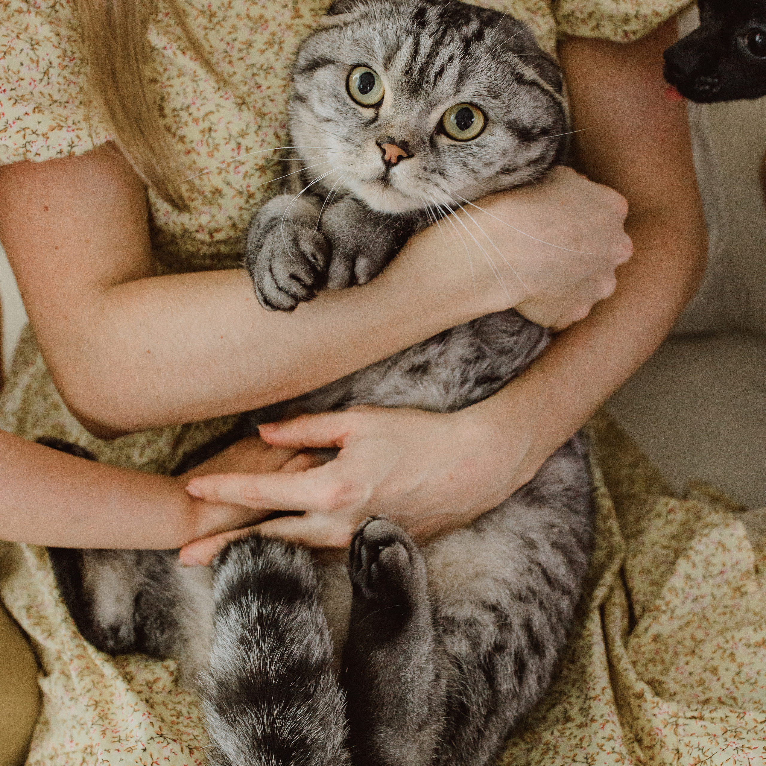 Homestory-fotoshooting-osnabrück. Fotografin in Osnabrück Mariana Slav