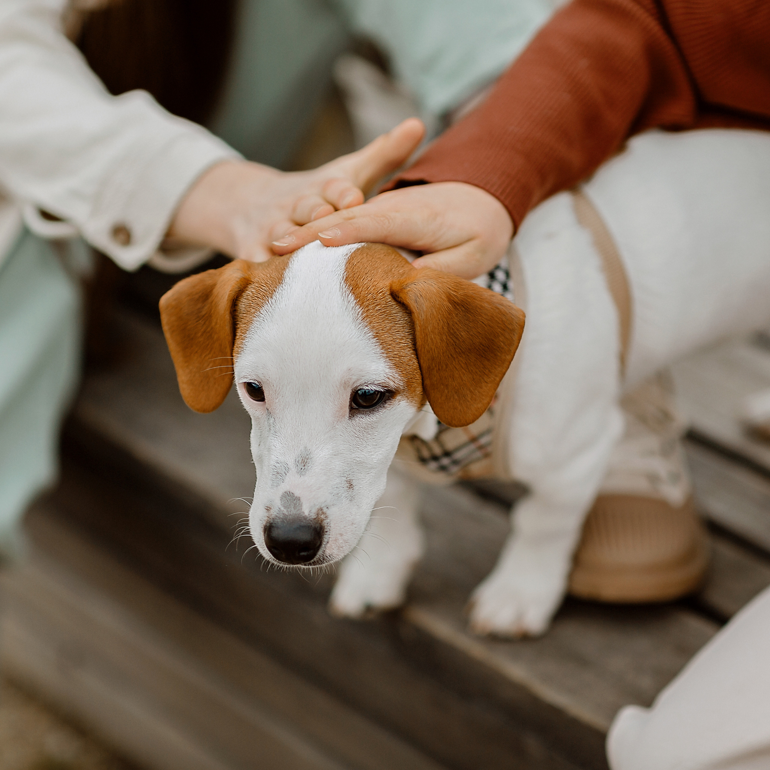 Kinder Fotoshooting. Fotografin in Osnabrück Mariana Slav