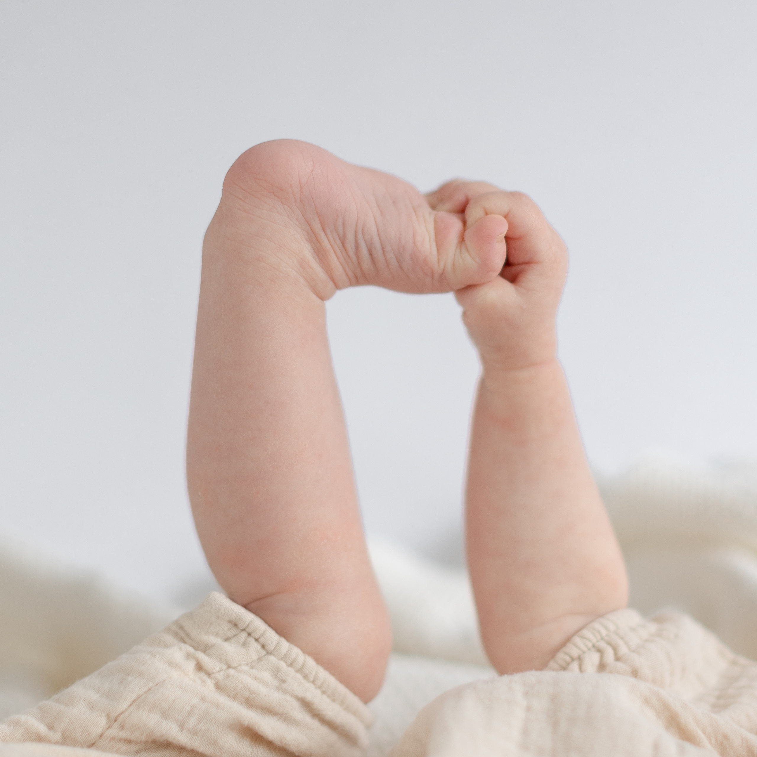 Babyshooting, 6 Monate, Familienshooting, Fotograf Osnabrück, Studioshooting, Bohoshooting