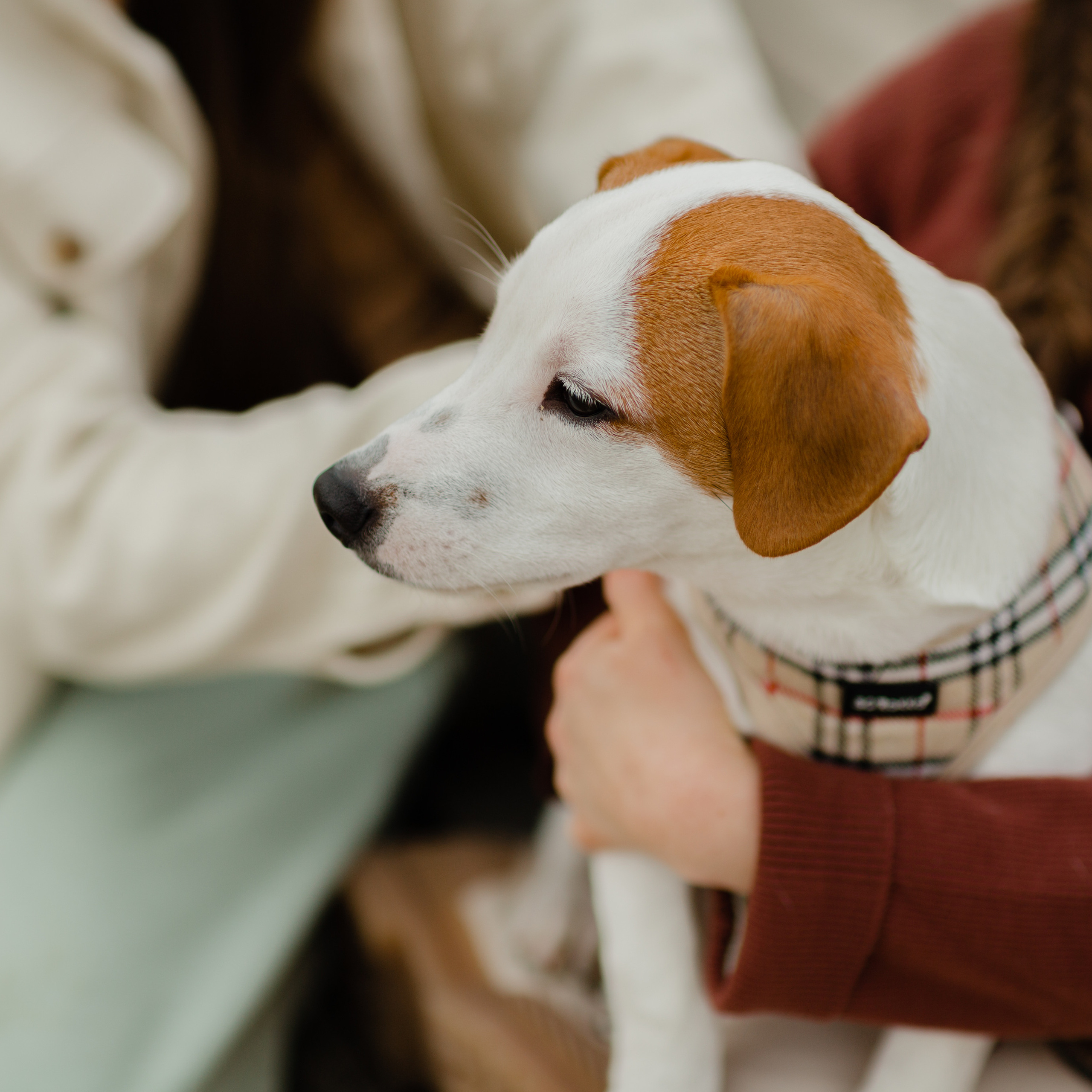 Kinder Fotoshooting. Fotografin in Osnabrück Mariana Slav