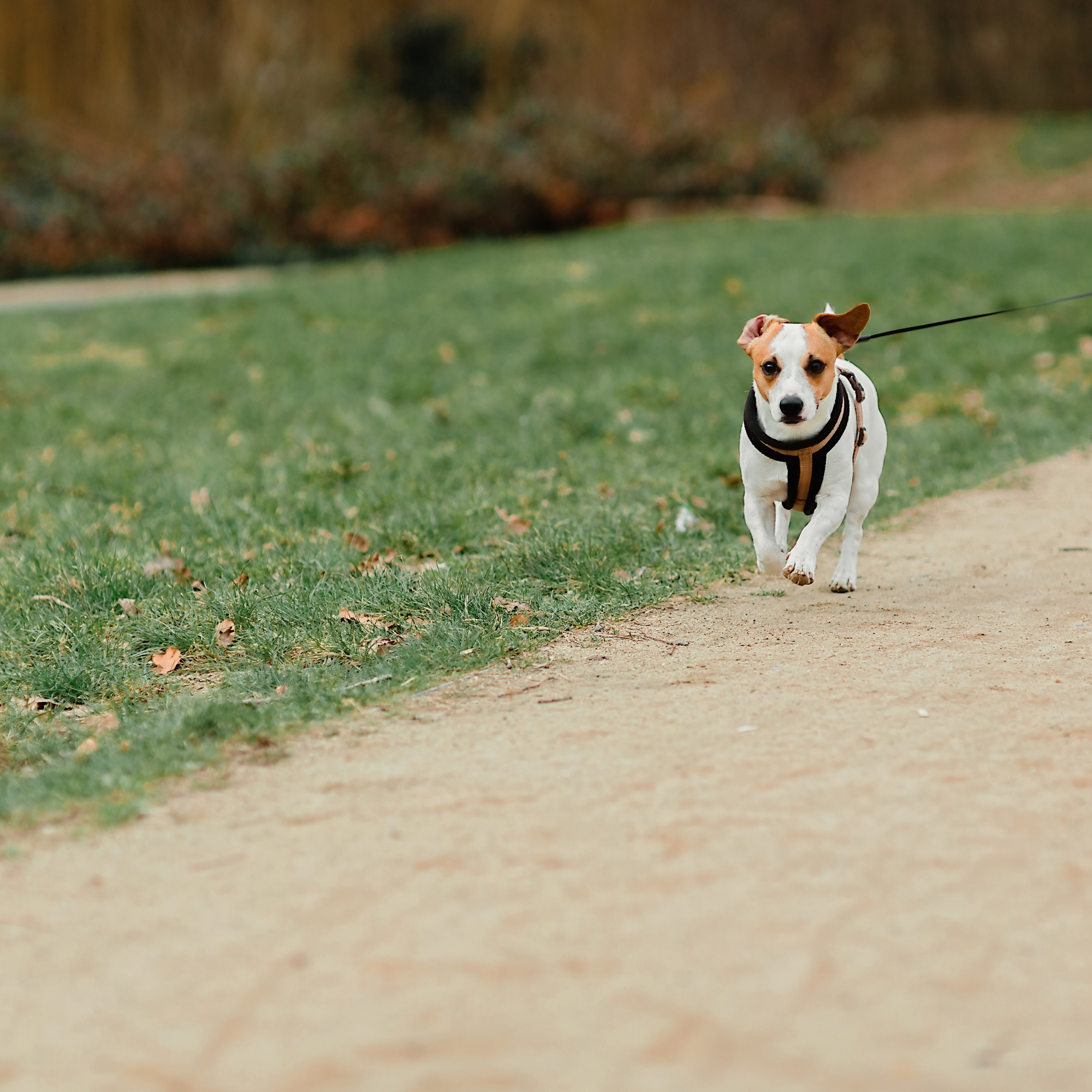 Kinder Fotoshooting. Fotografin in Osnabrück Mariana Slav
