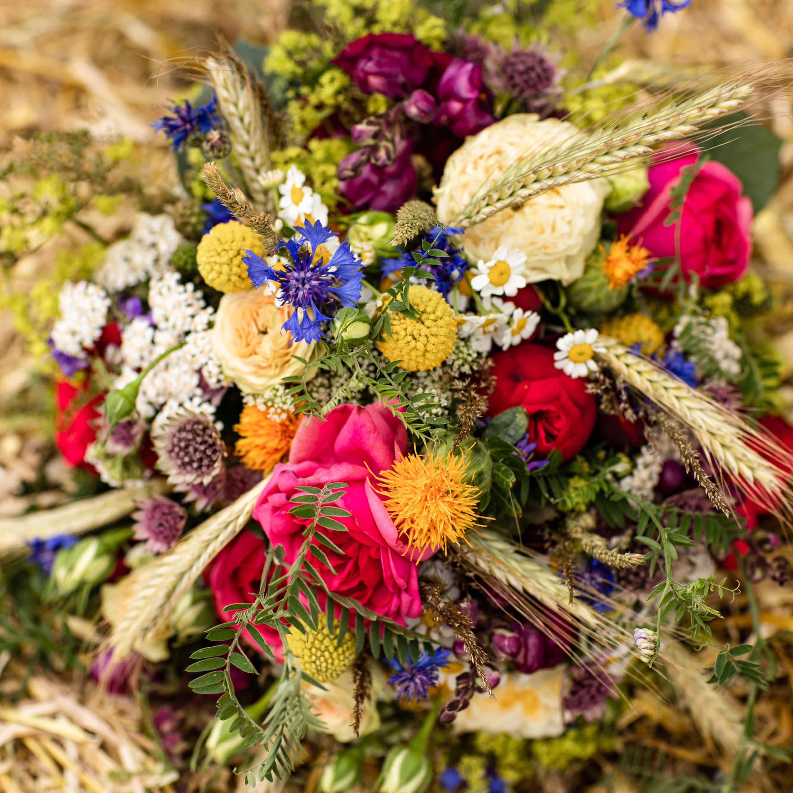 Referenzen/Feedback. Fotografin in Osnabrück Mariana Slav