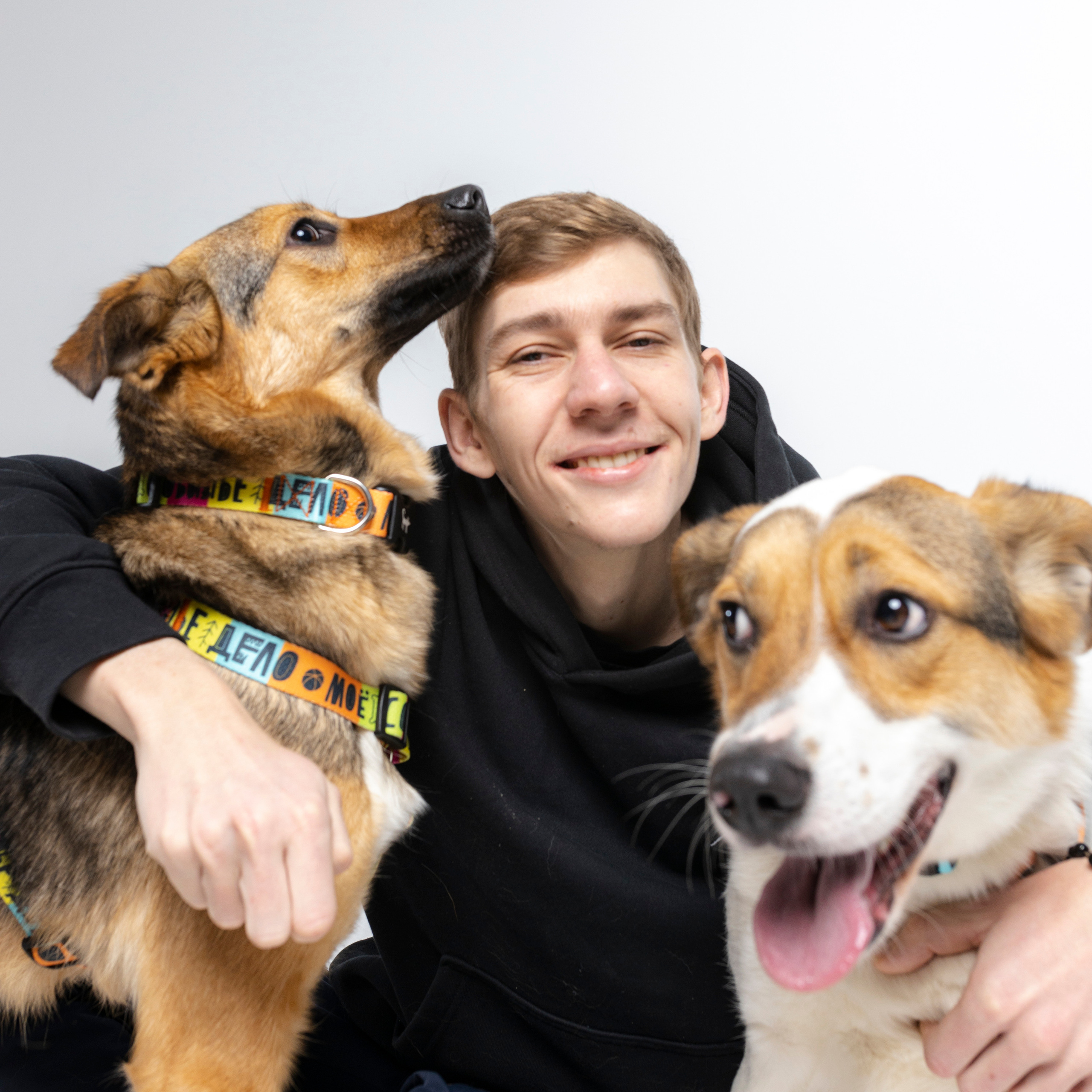 Твое Собачье Дело + Stand Up