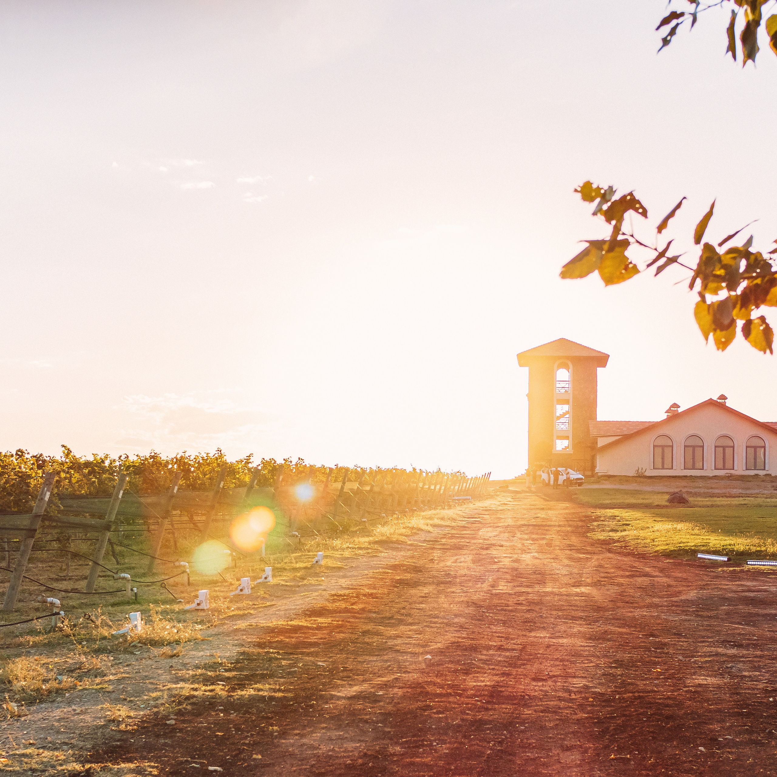 Отзывы. Фотограф в Ереване Карина Тоноян