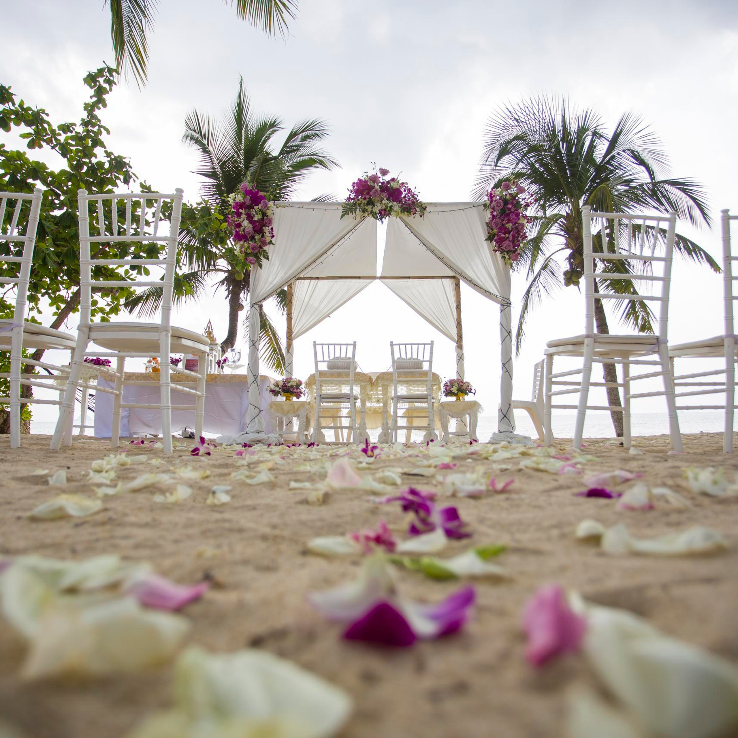 Testimonials. Wedding on Koh Samui, Thailand