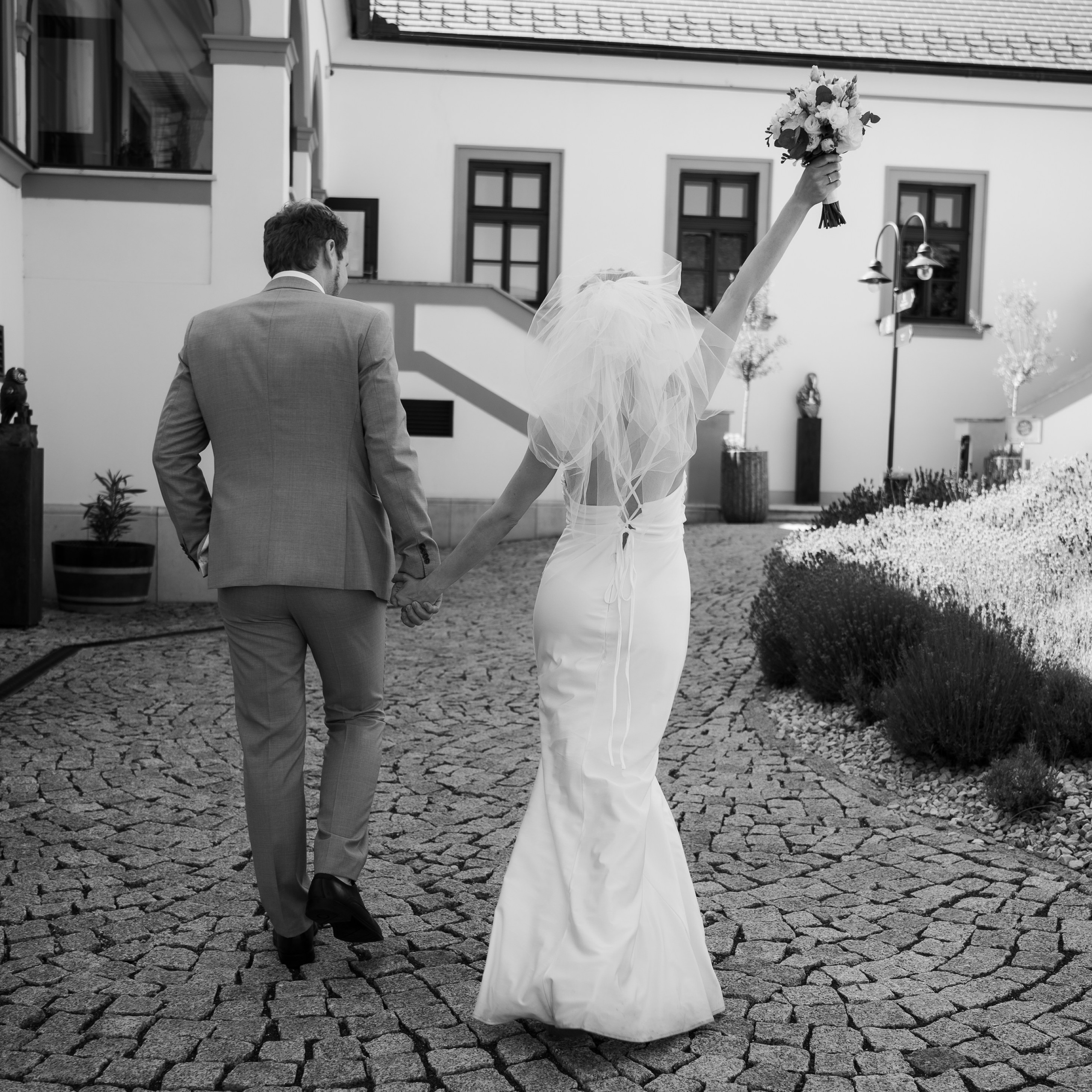 Reviews. Photo Vienna and Bratislava