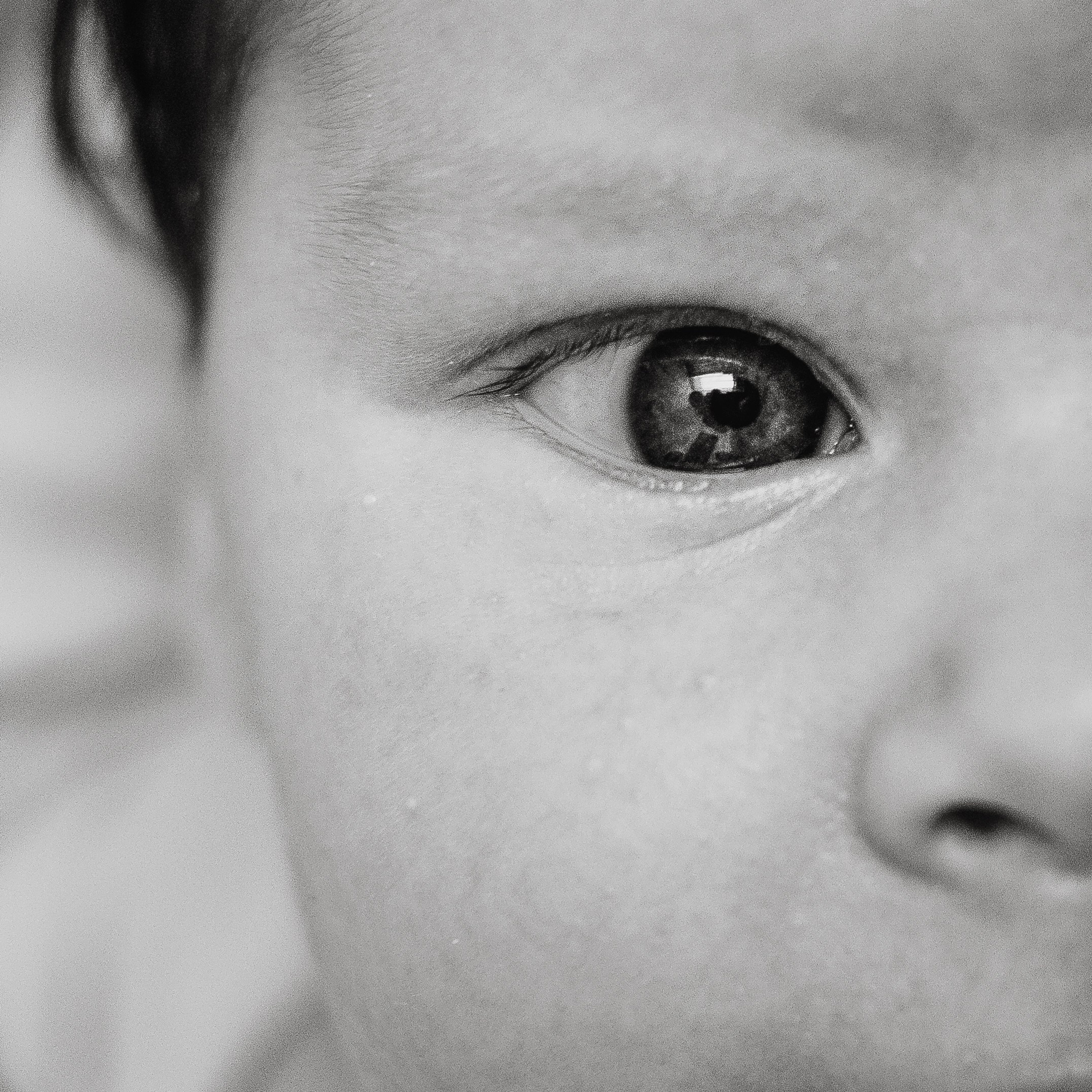 Anastasia, Jane and Sava