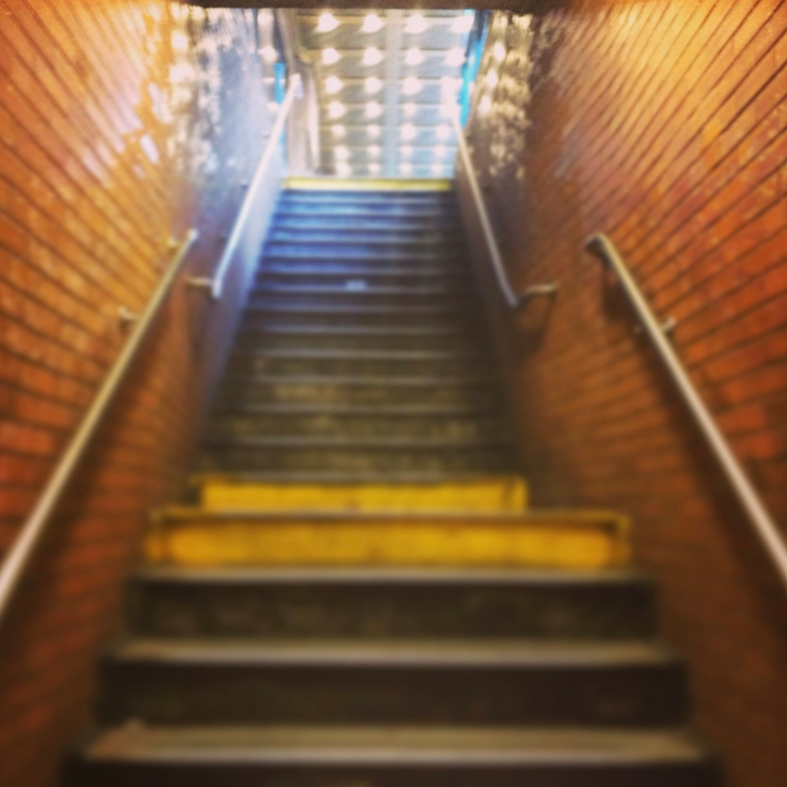 Lens Work From Field  1