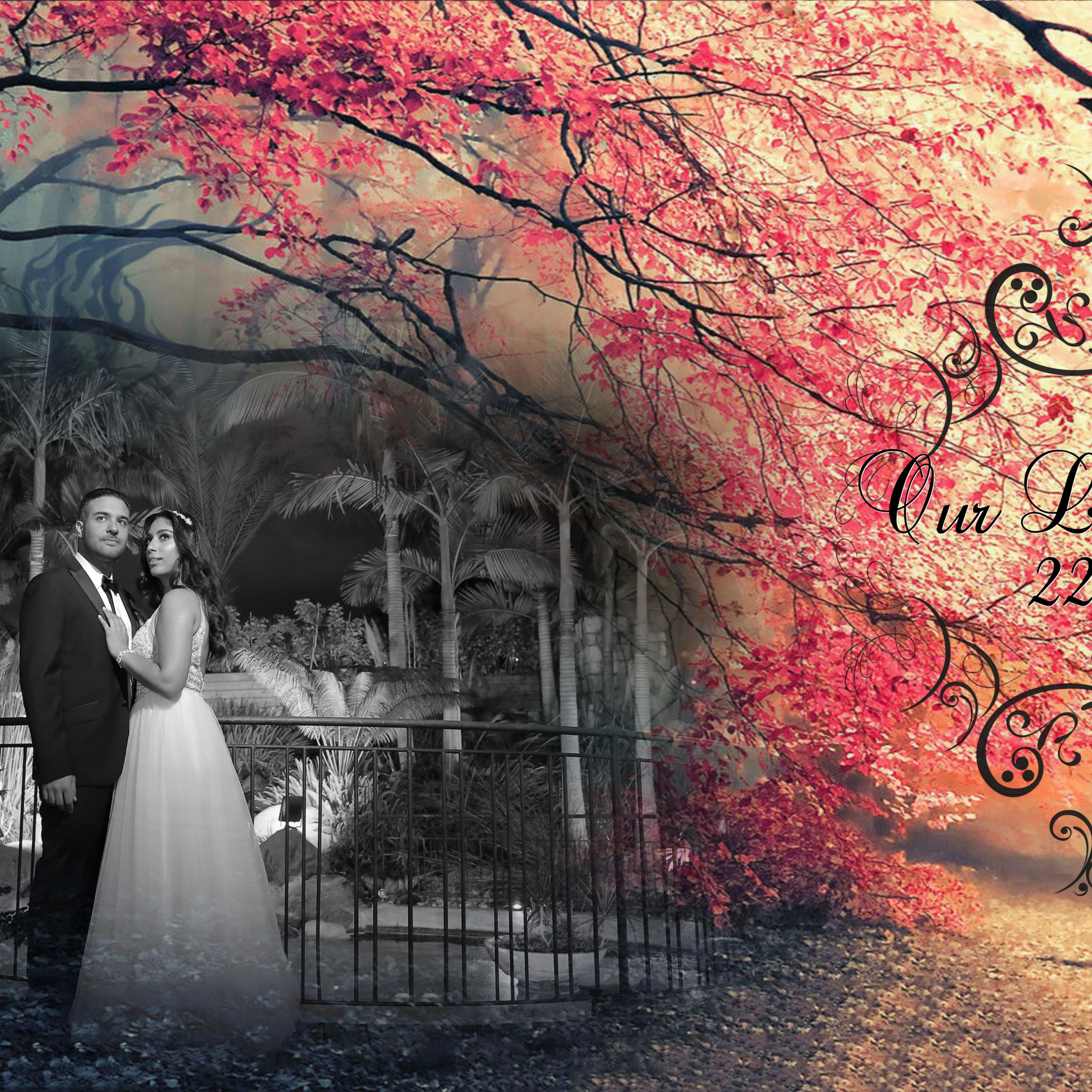 Wedding 06.10.2022. MDVD Events photographysv in israel