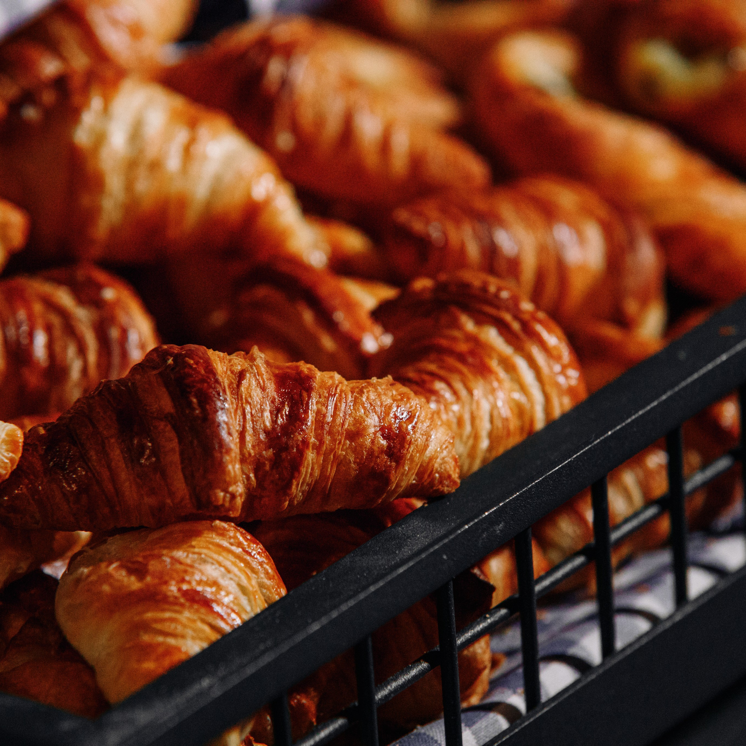 Atsauksmes. BELLOW US FOTOGRĀFS RĪGA