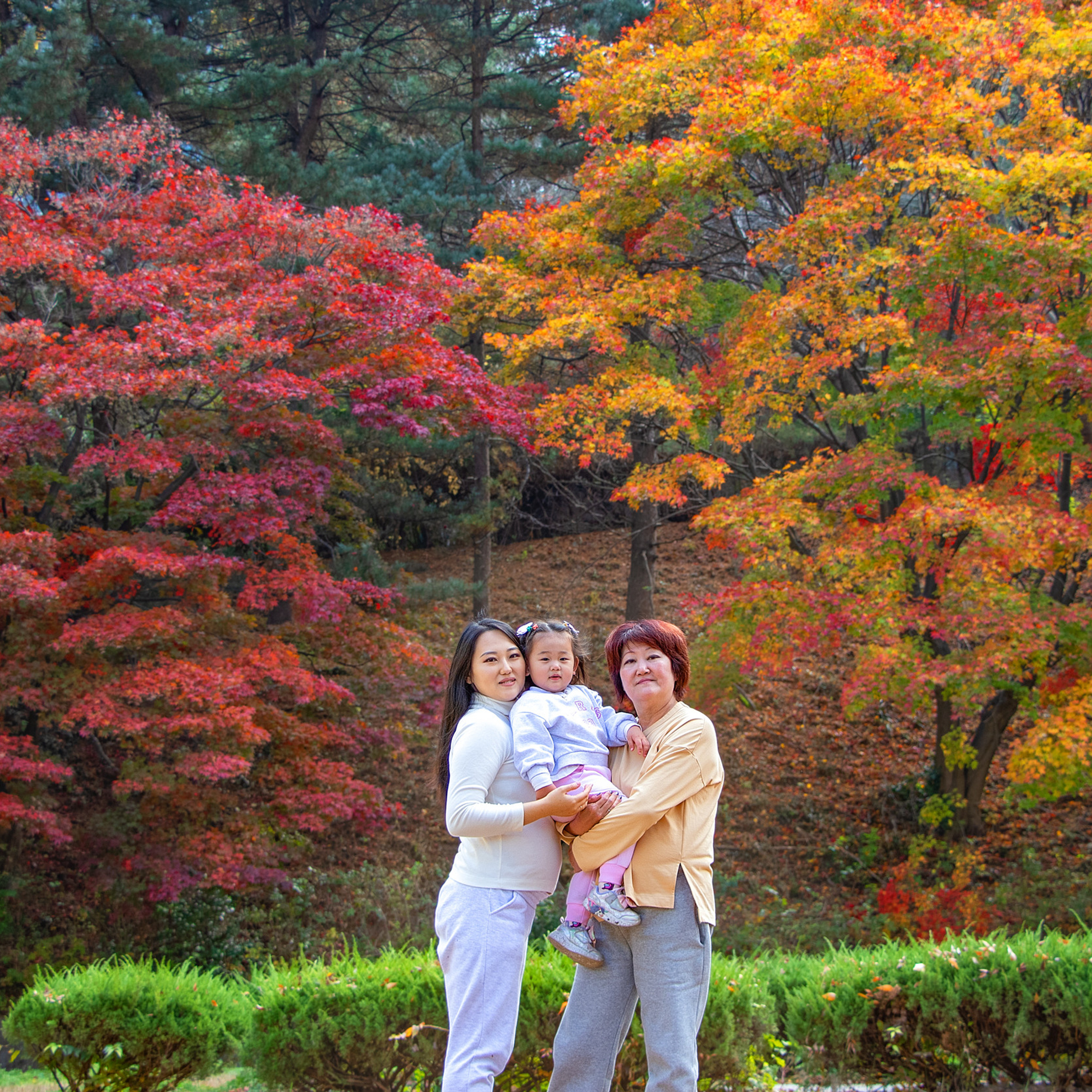 Отзывы фотографа в корее. Рекомендации фотографа в корее. Семейный, свадебный и асянди фотограф в Южной Корее Ким Гым Дори