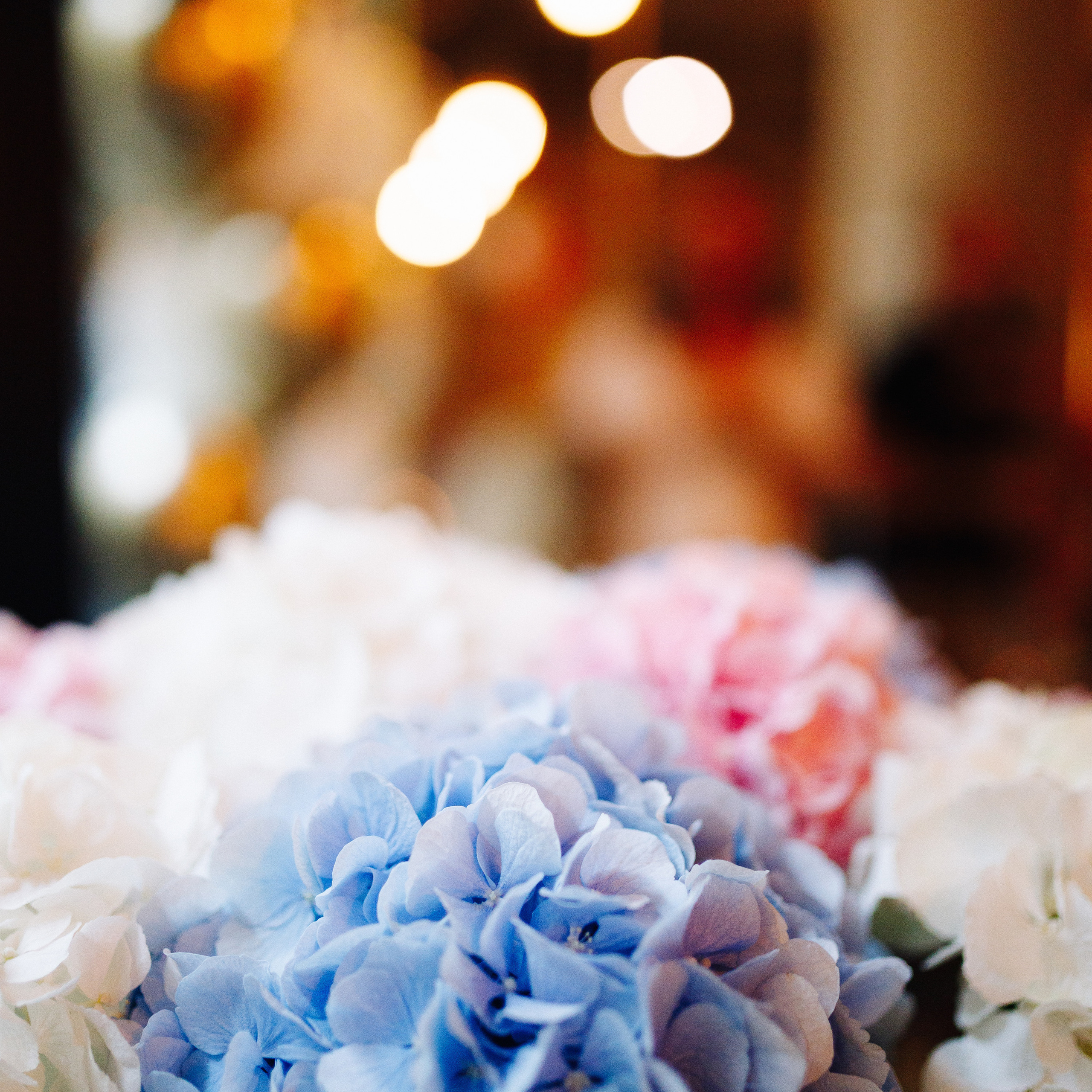 Testimonials. Photographer in Prague for tourists