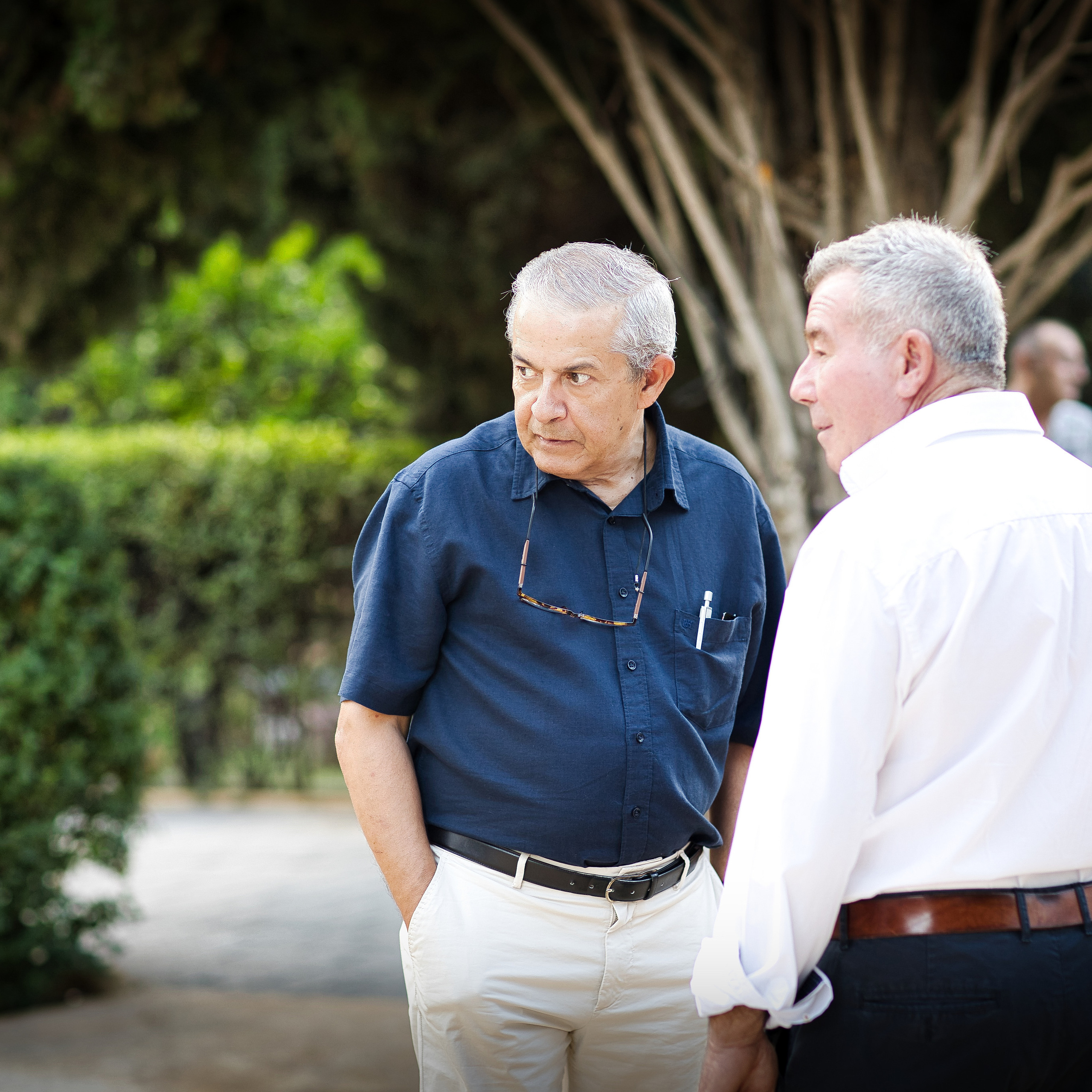 ALINUR cena 2023. Volver a oranjazz.com