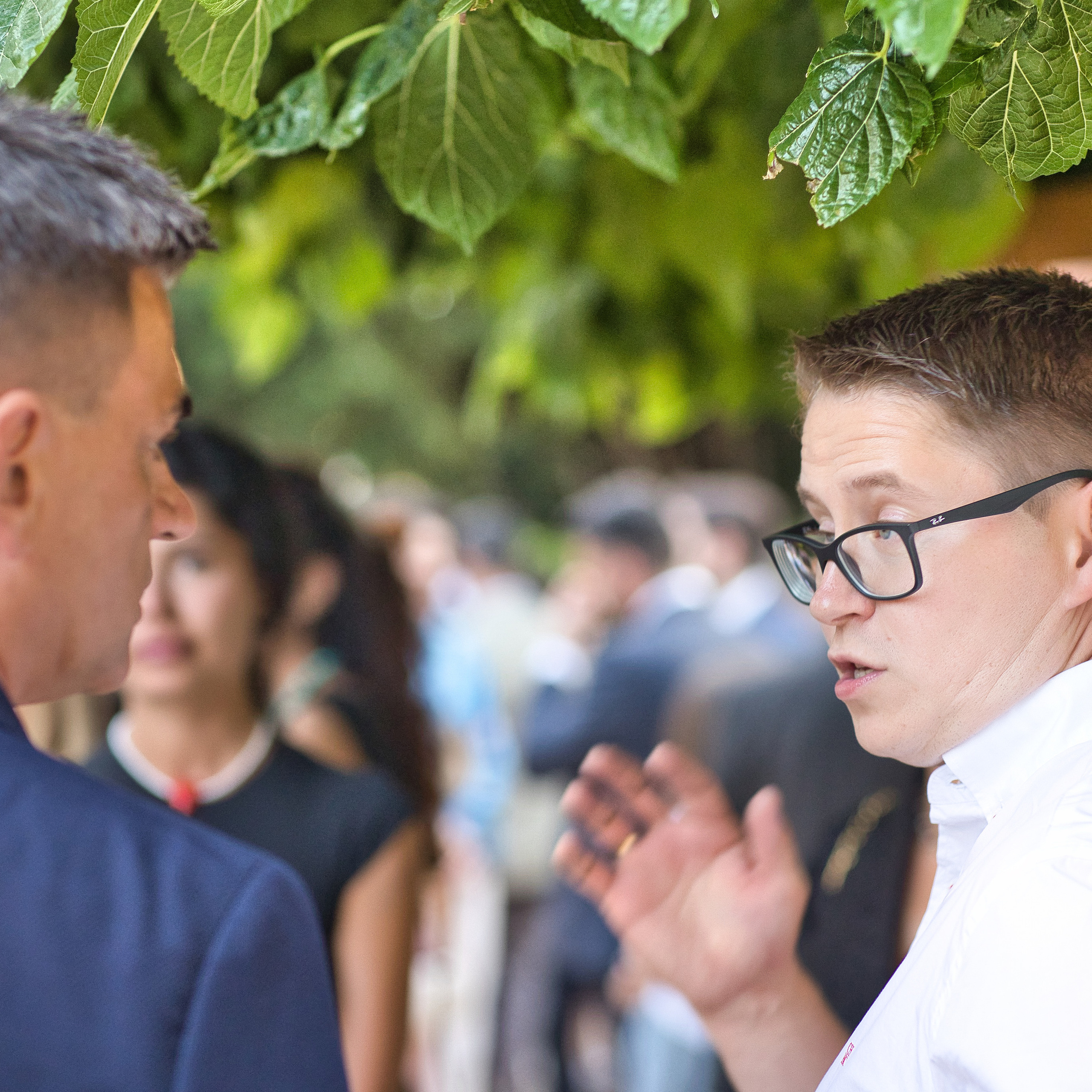 ALINUR cena 2023. Volver a oranjazz.com