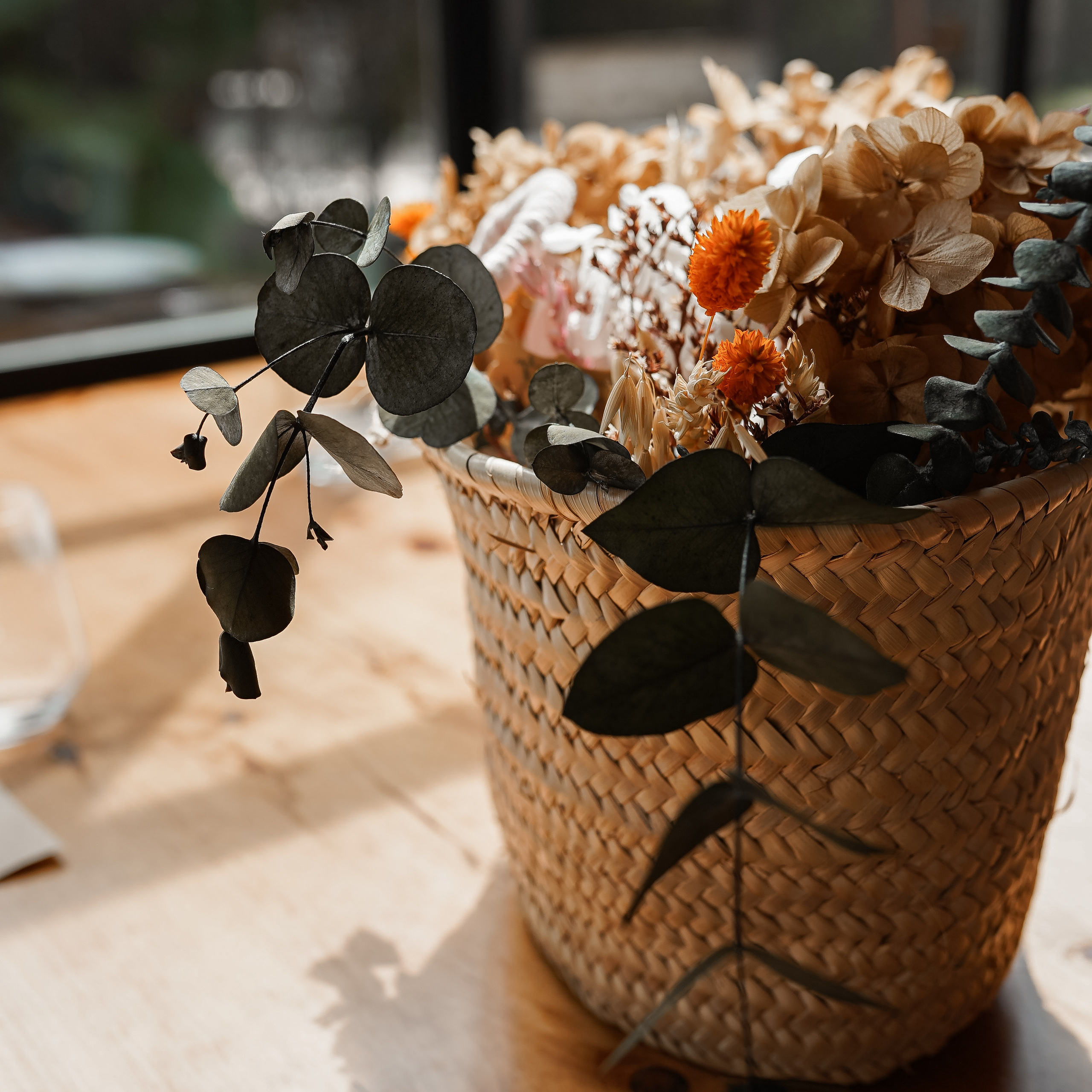 Apertura de WBC S en Alicante. Volver a oranjazz.com