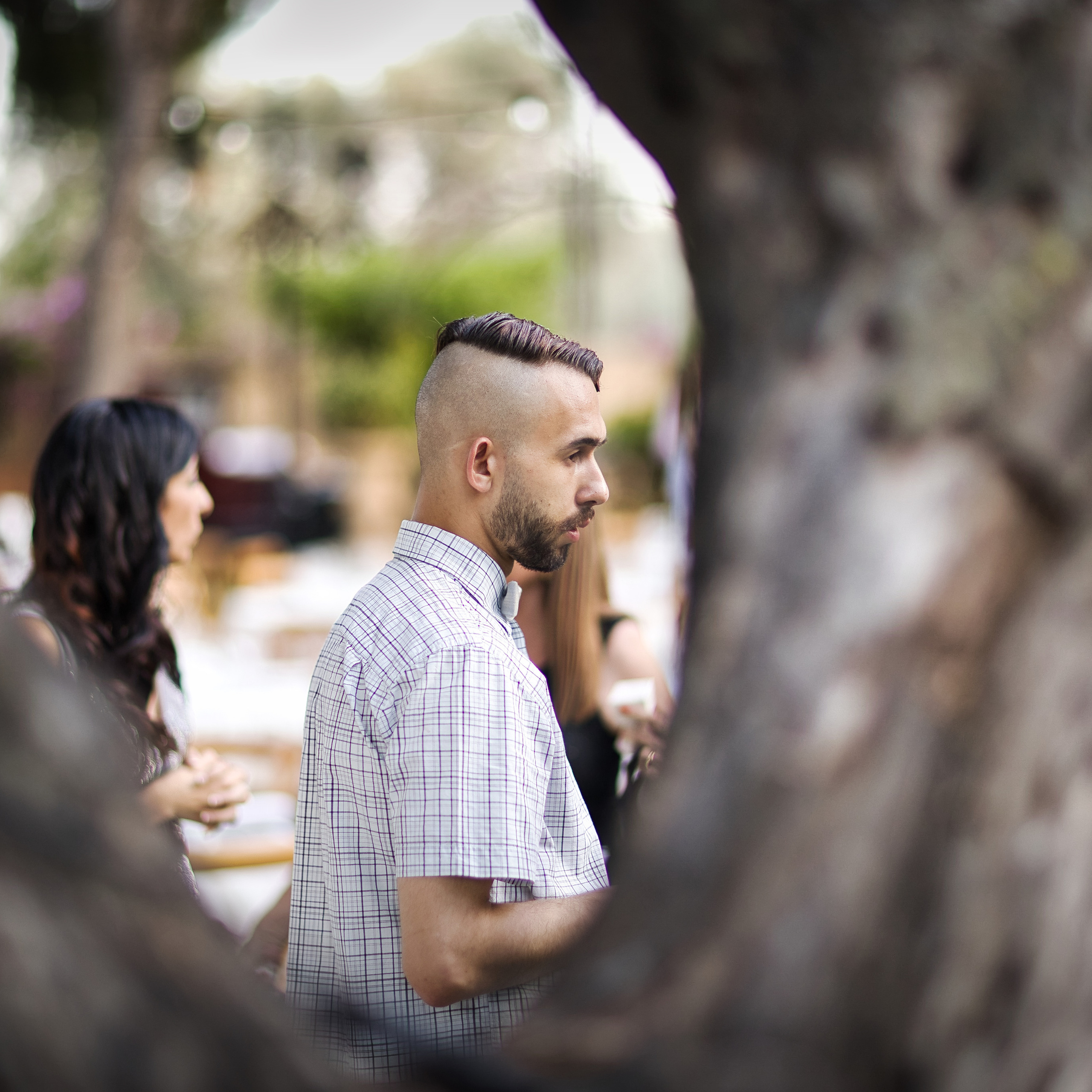 ALINUR cena 2023. Volver a oranjazz.com