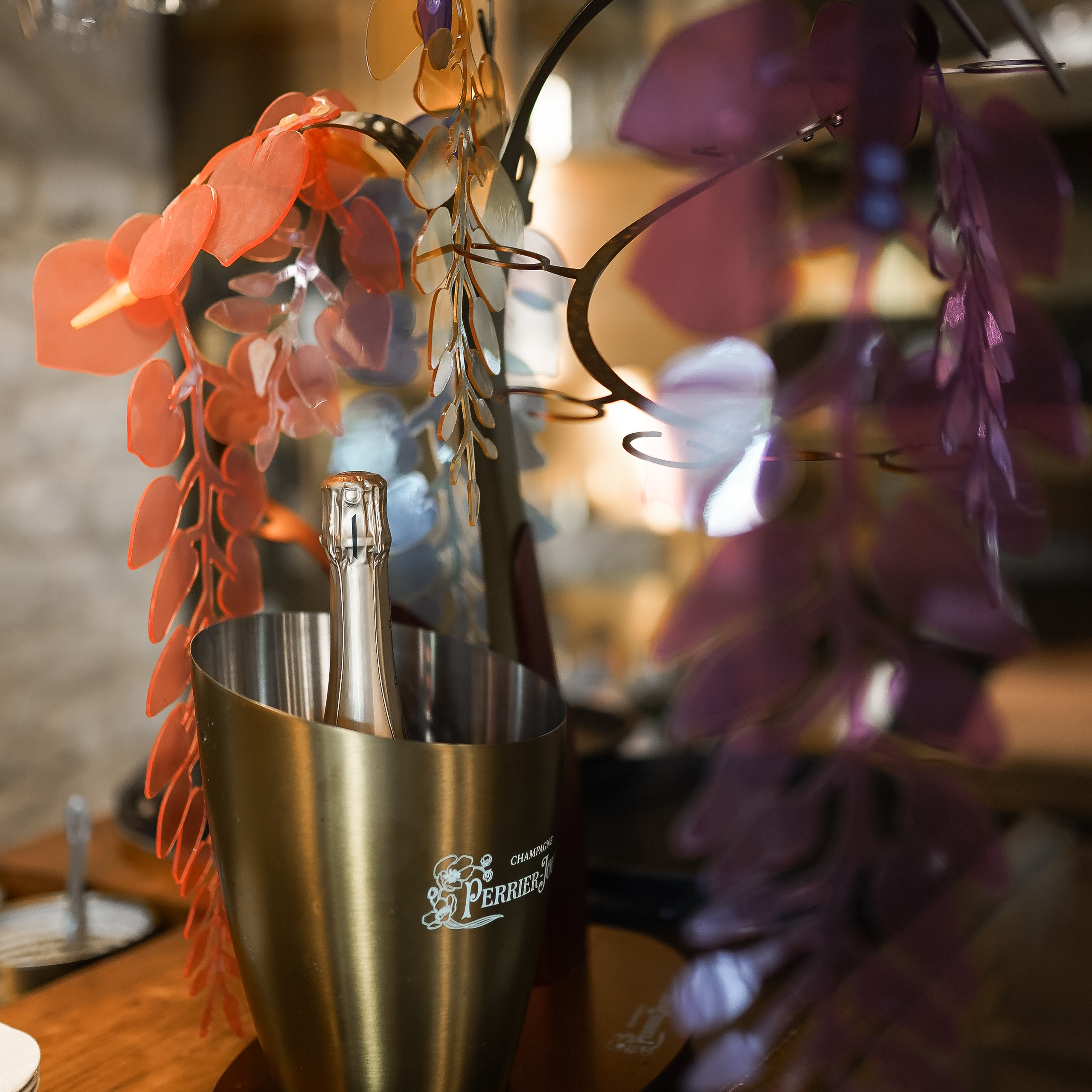 Apertura de WBC S en Alicante. Volver a oranjazz.com