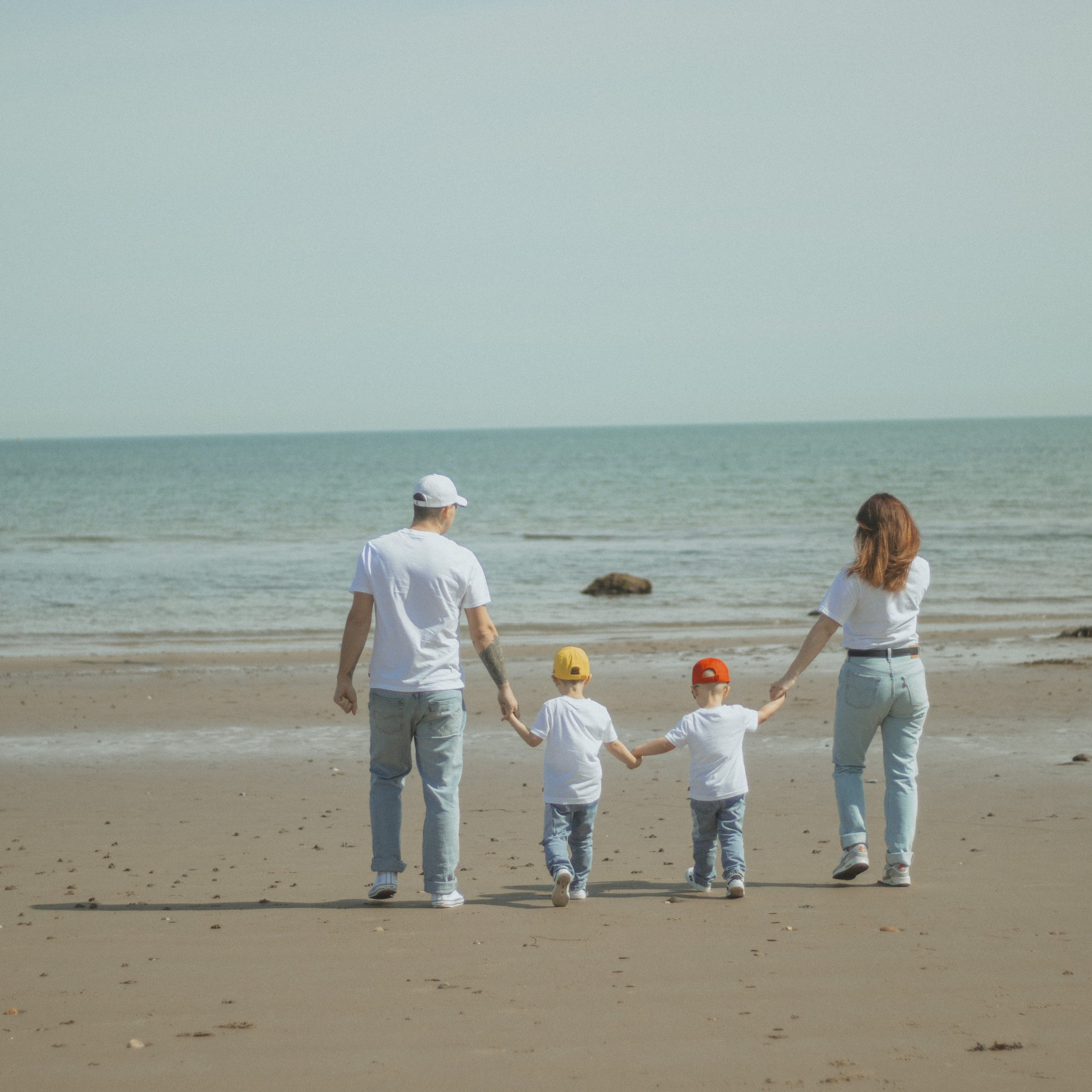 Family historyin the Bray
