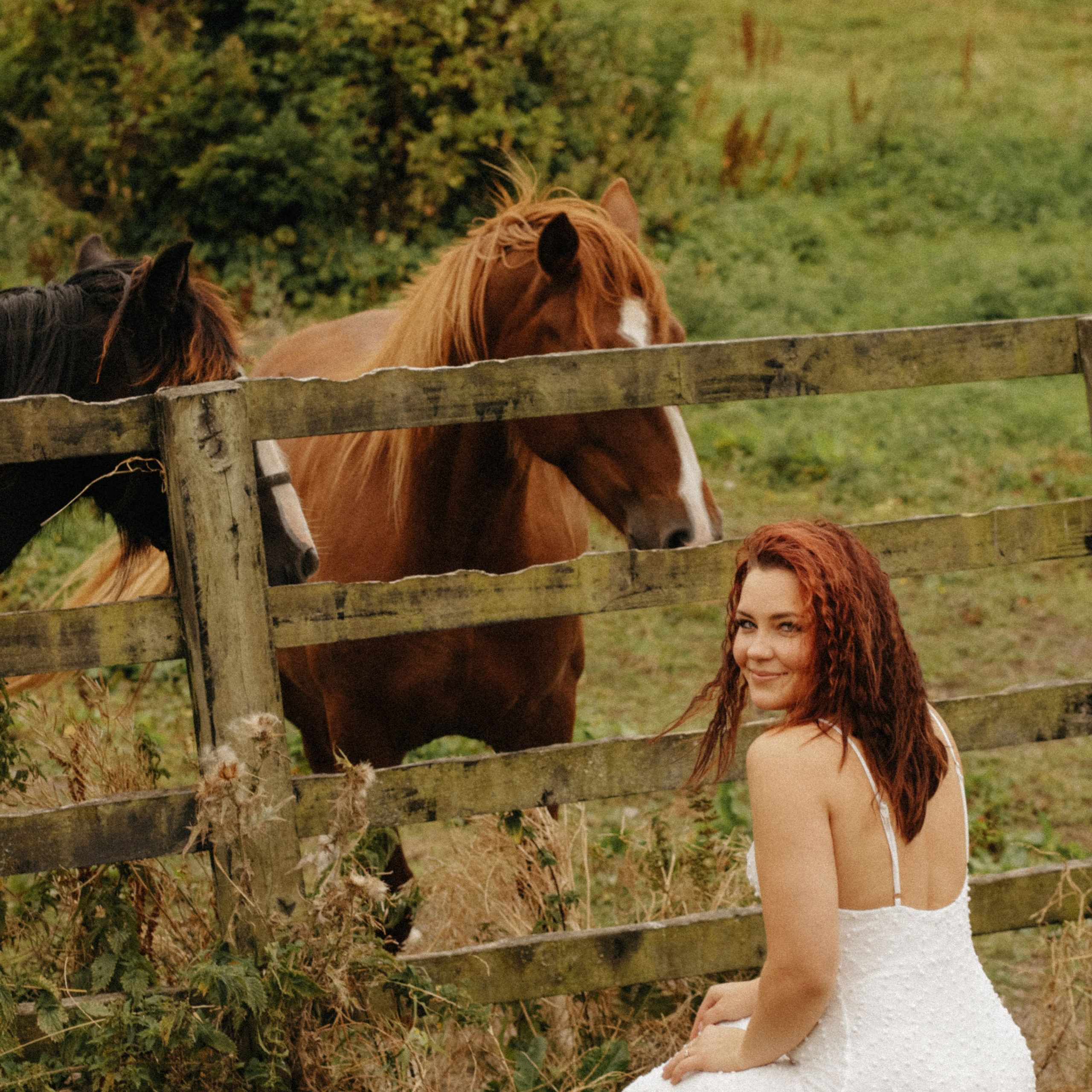 In The world of Horses