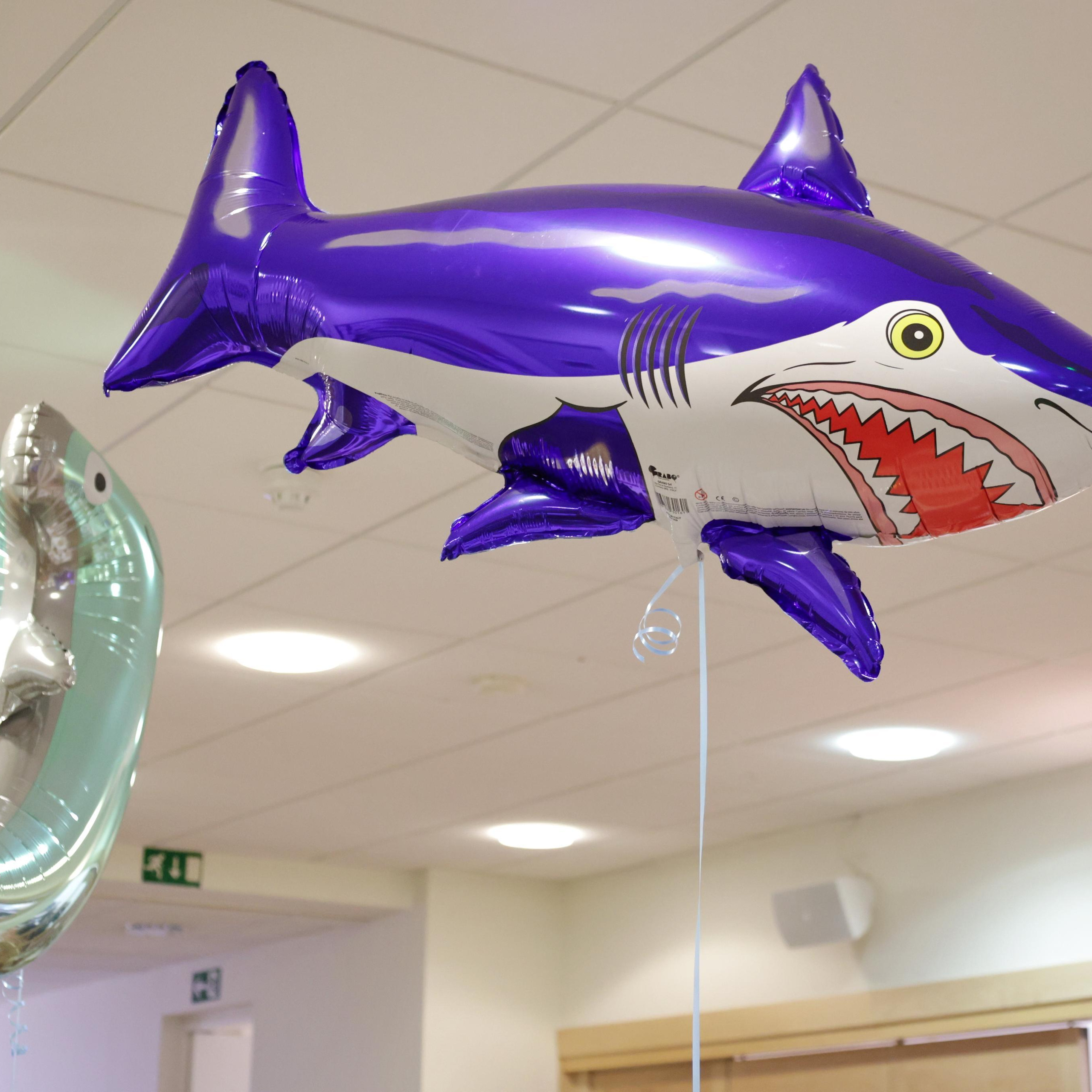 Testimonials. Couples and portraits photographer Wimbledon London