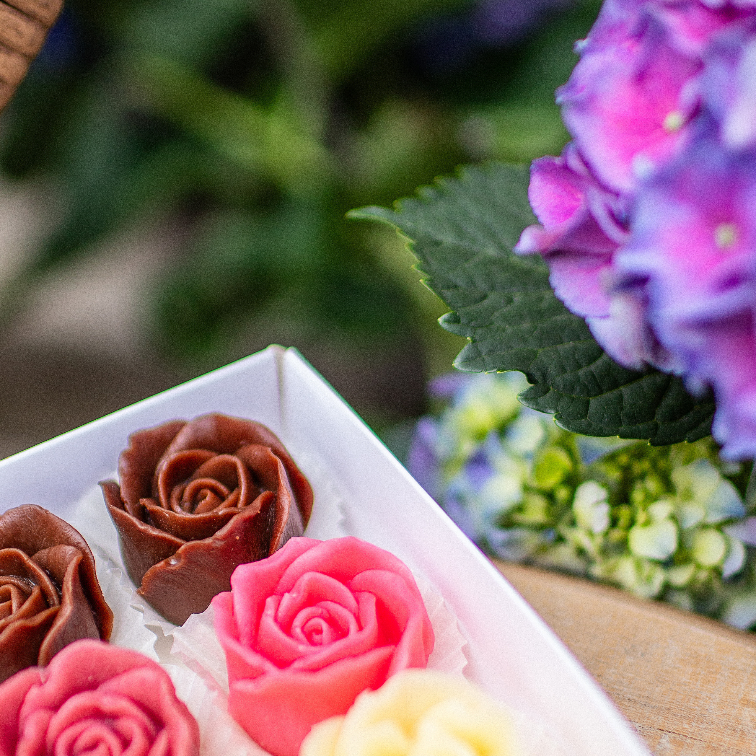 OPINIE. Fotograf Olena Teslo Wrocław