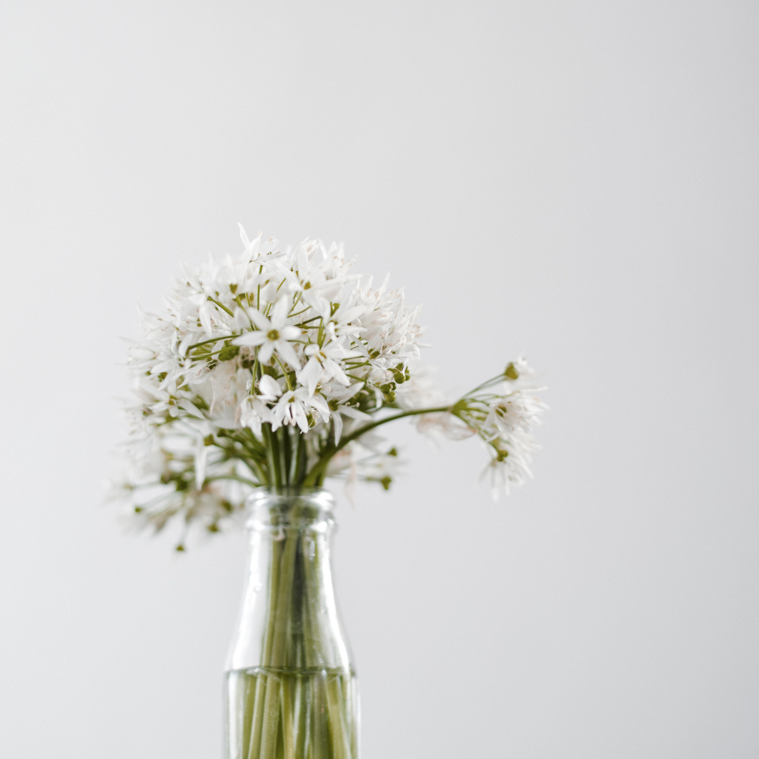 Entry 4. Natalja Poplavska — Visual artist, Photographer, East Sussex, London