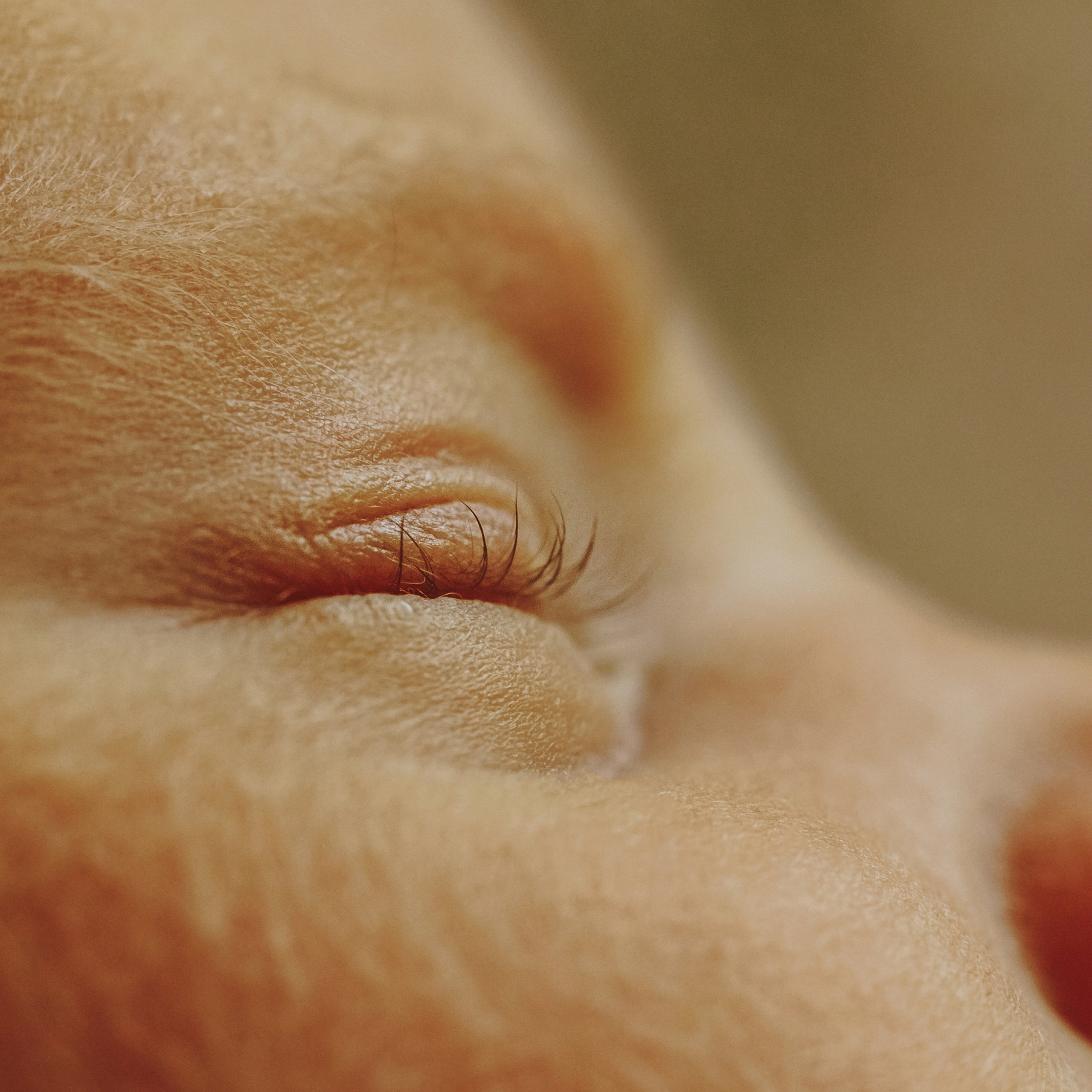 Отзиви. Фотограф Ирина Йотова