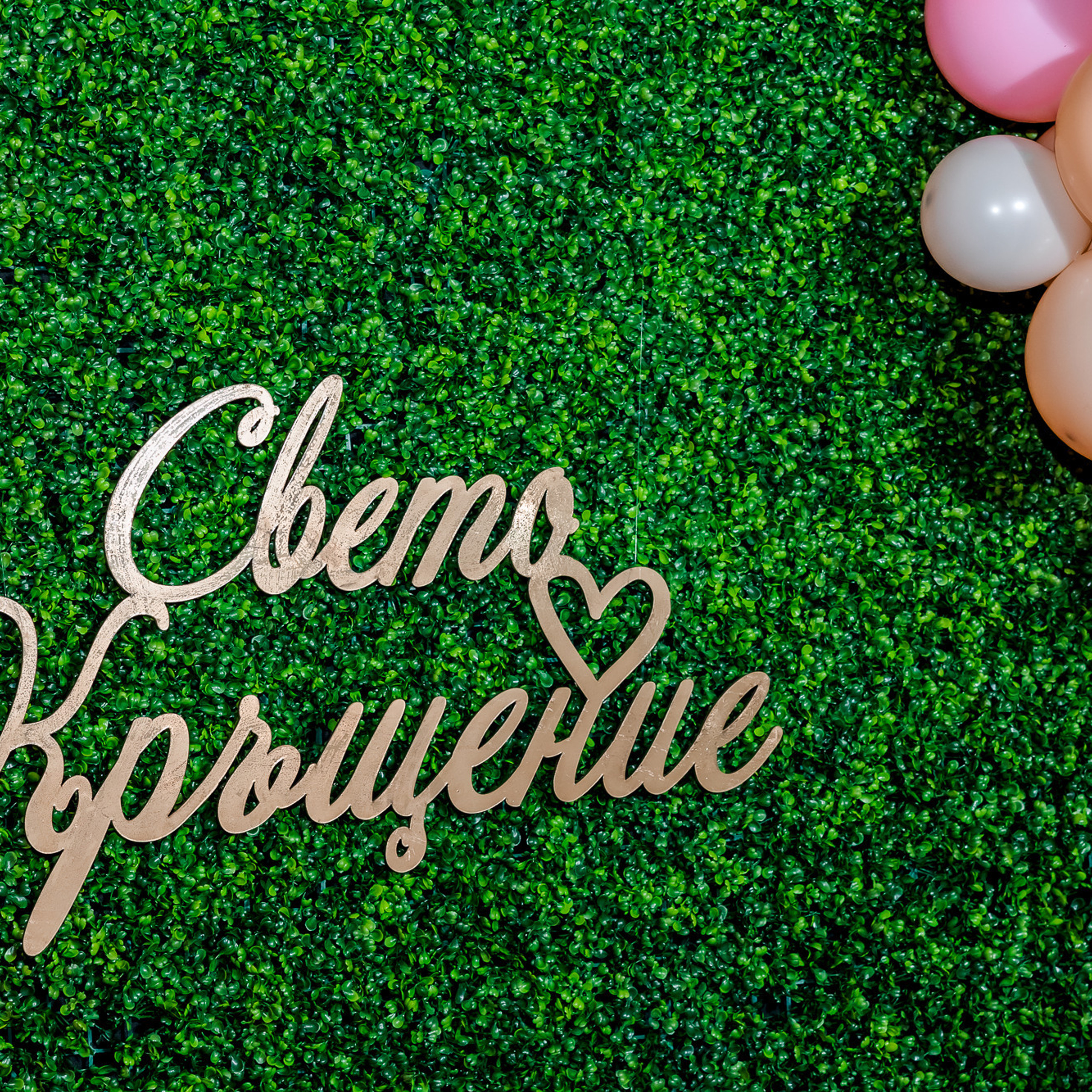 Отзиви. Фотограф Ирина Йотова