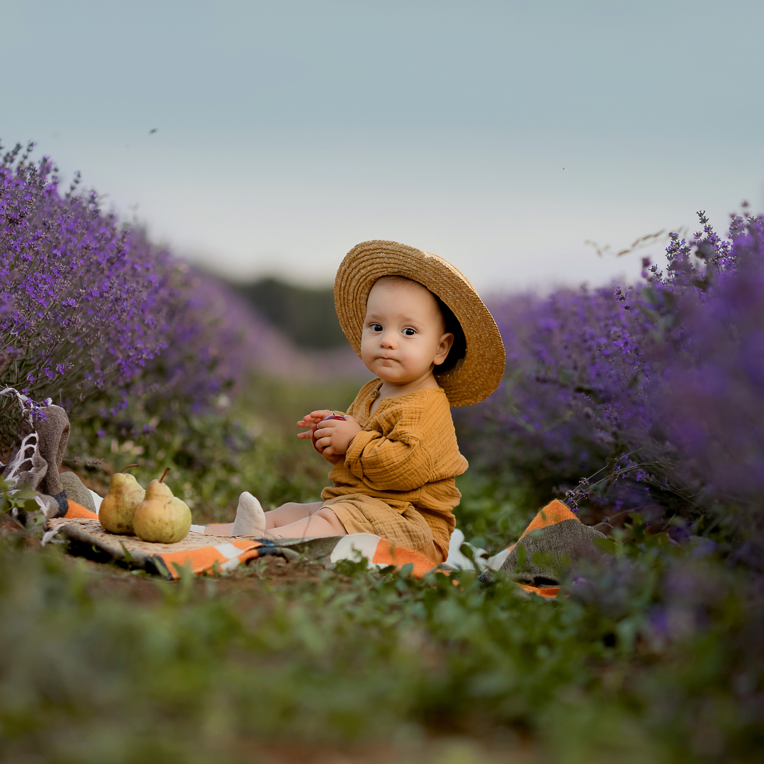 Фоторазходка Лавандула