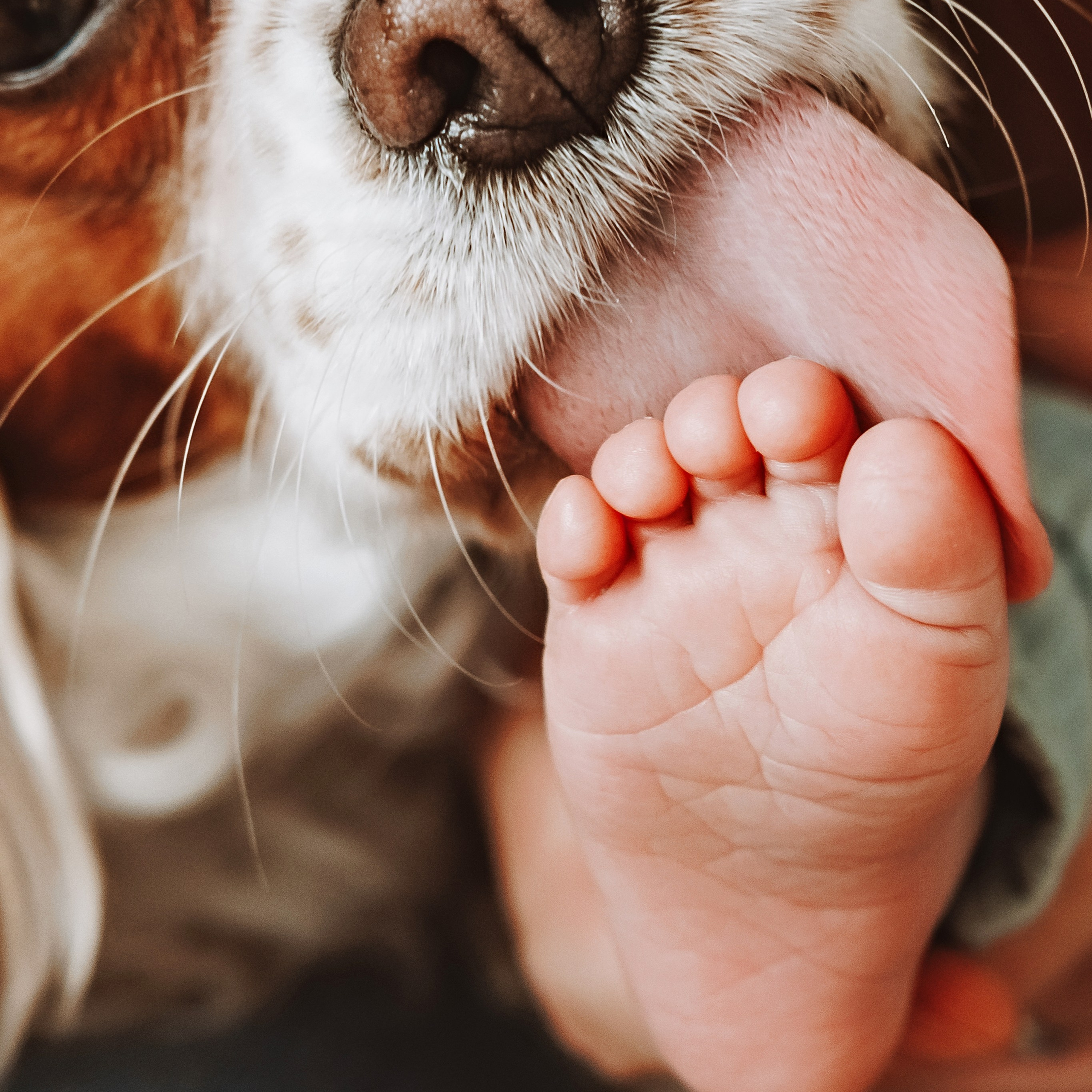 Фотосесия за новородено