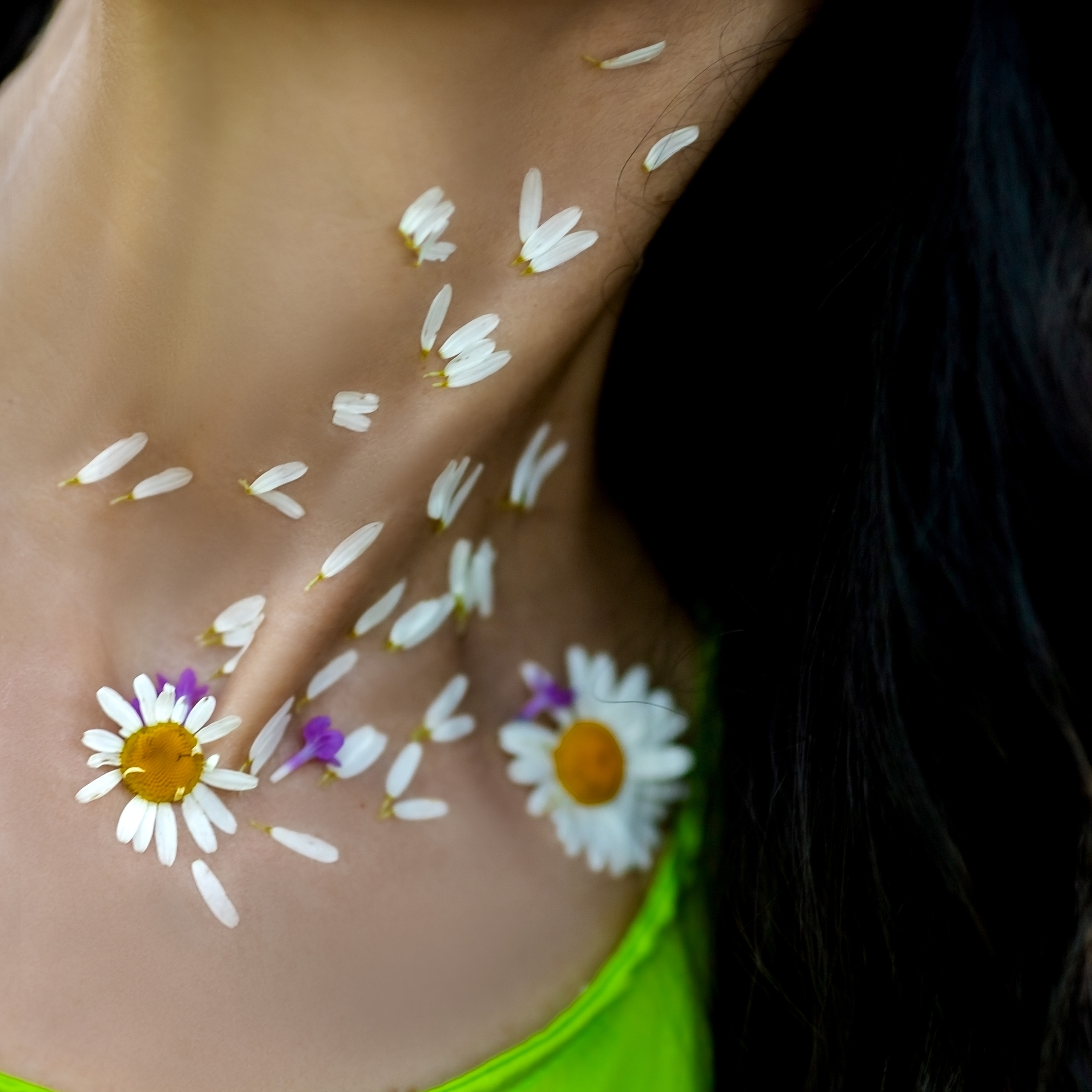 Фоторазходка Лавандула