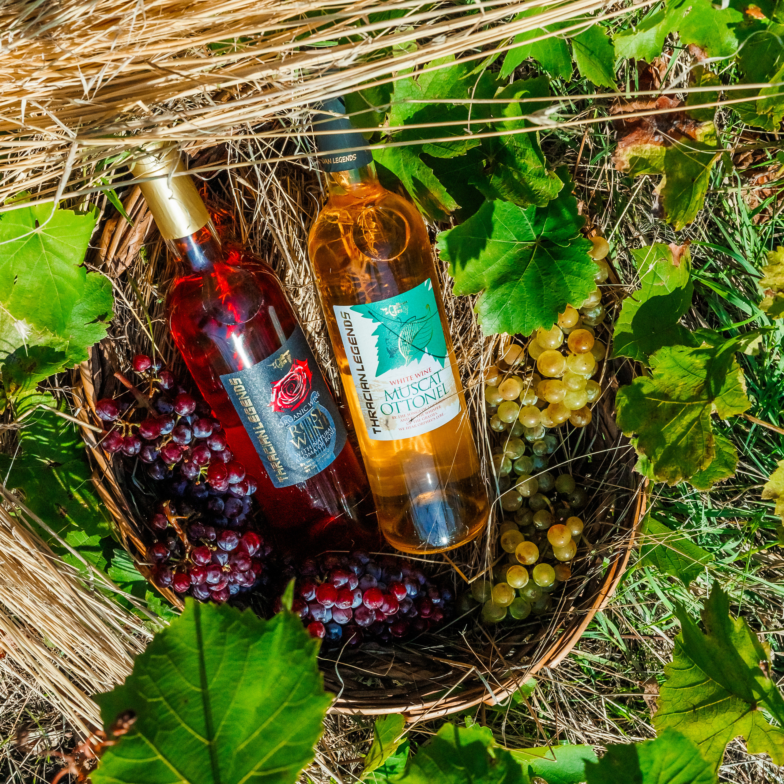 Отзиви. Фотограф Ирина Йотова