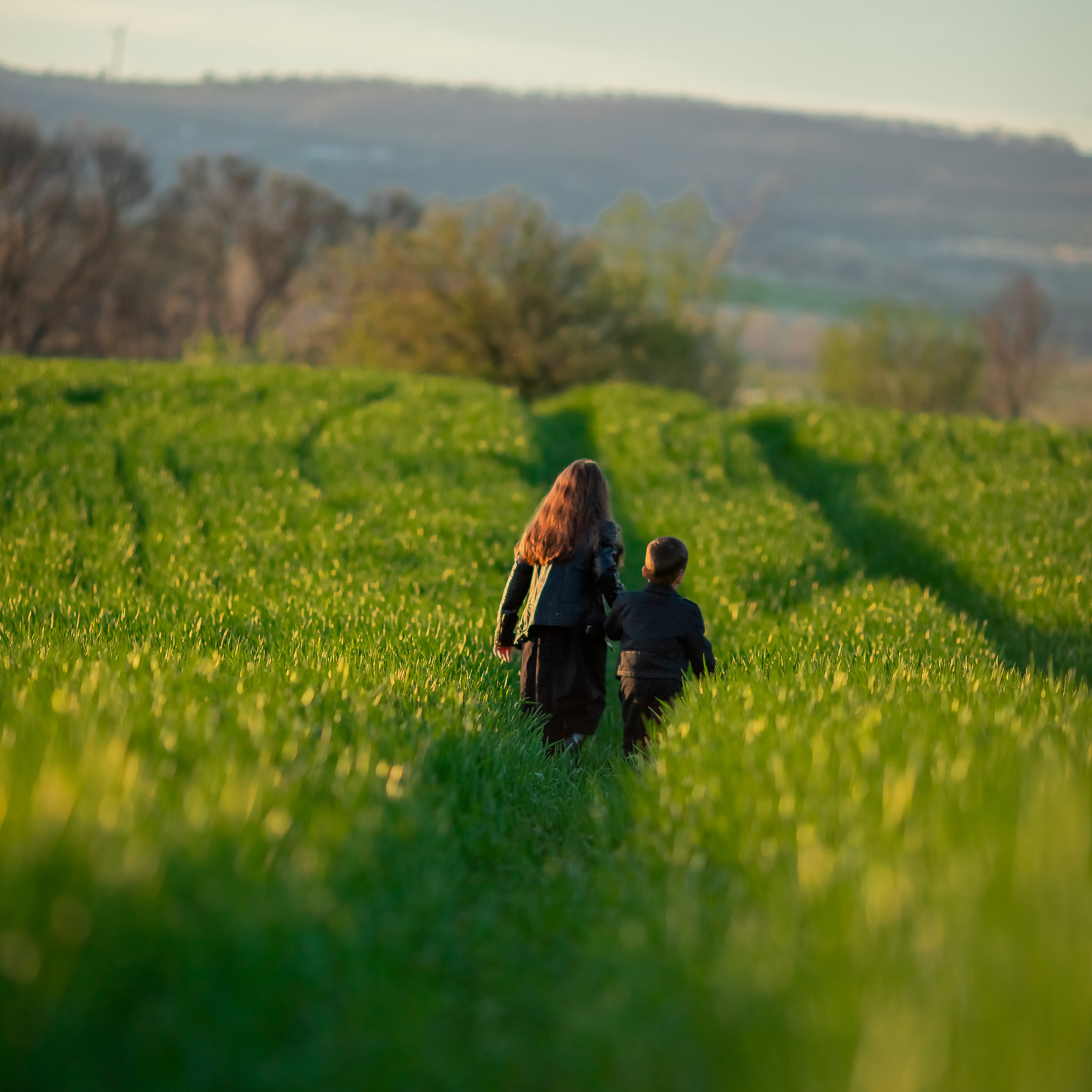Разходка в полето