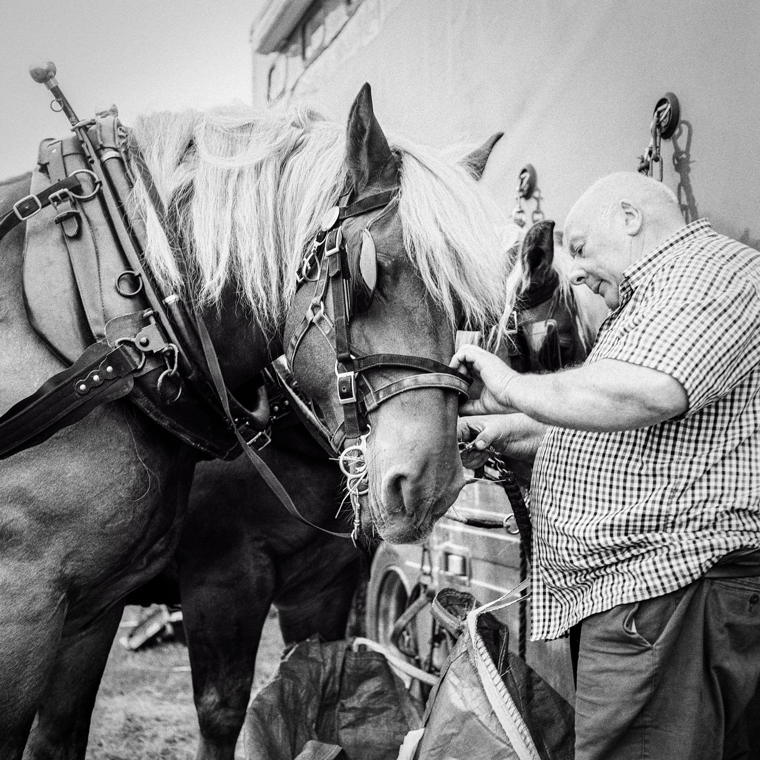 Shooting a Ploughing Match with a Mamiya C330 TLR. Hedley Wright Photography | East Anglia Sport, Street, Wildlife, Landscape & Astrophotography