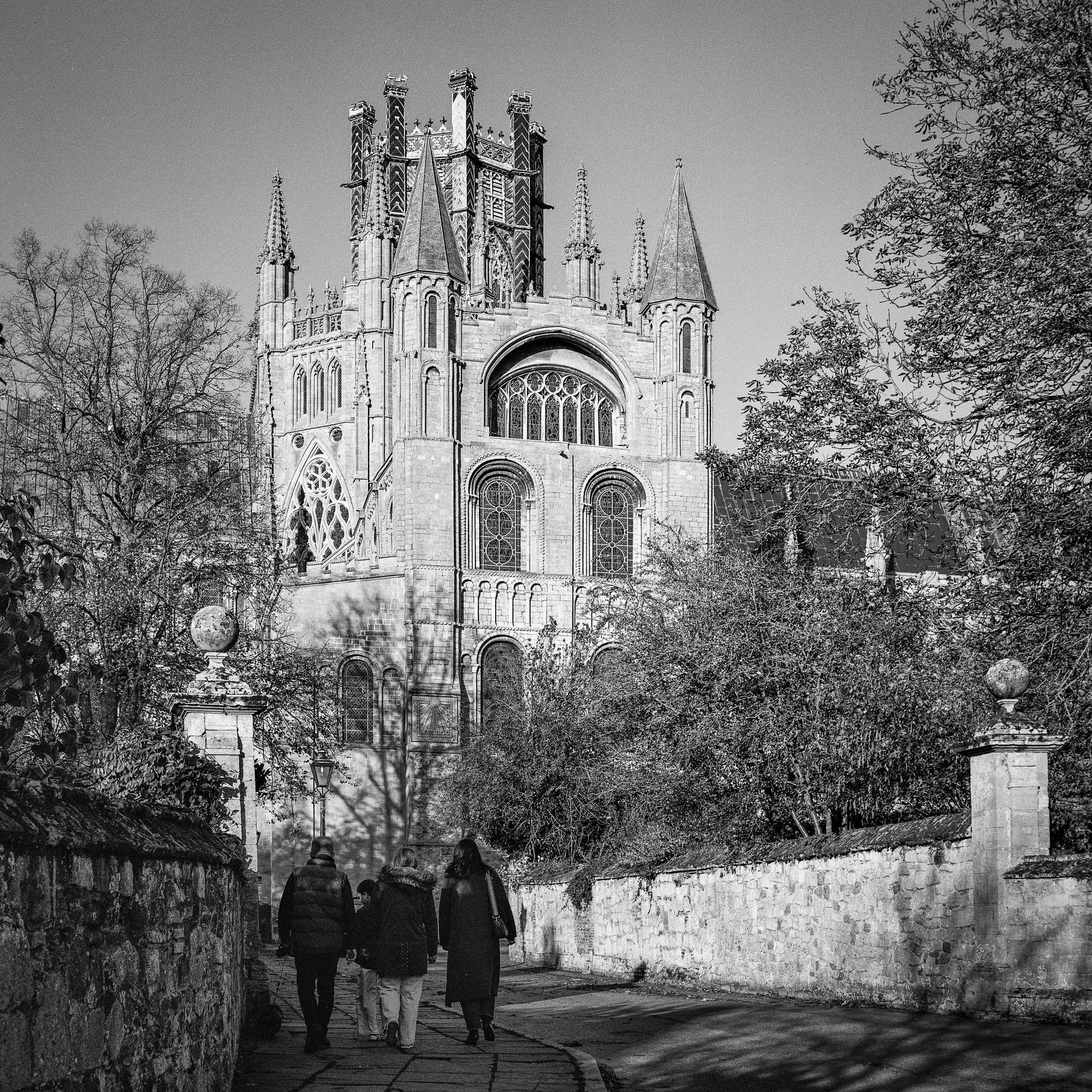 Rolleicord vs Rolleiflex: Choosing a Classic TLR. Hedley Wright Photography | East Anglia Sport, Street, Wildlife, Landscape & Astrophotography