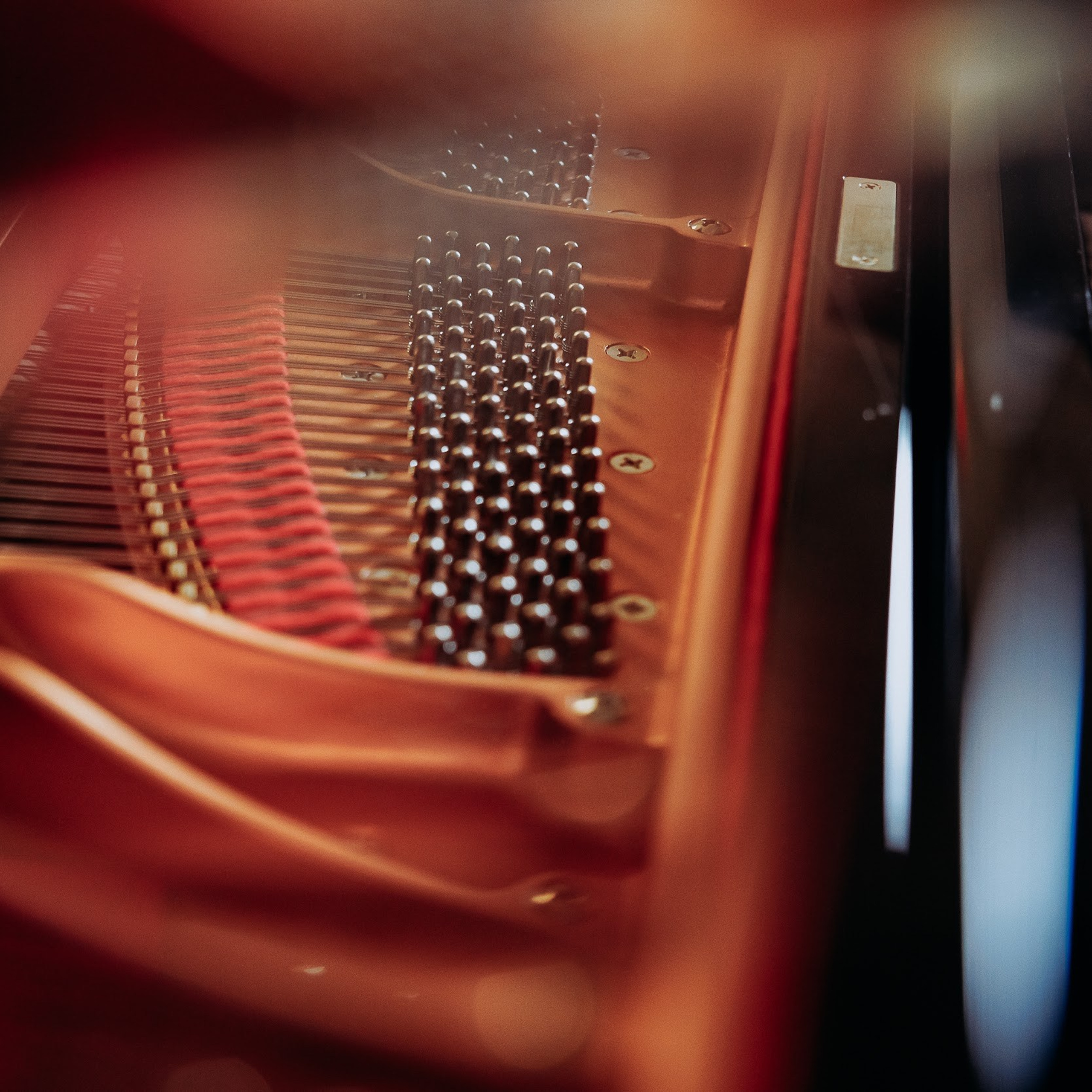 Un concert de musique classique. Photographe à Paris