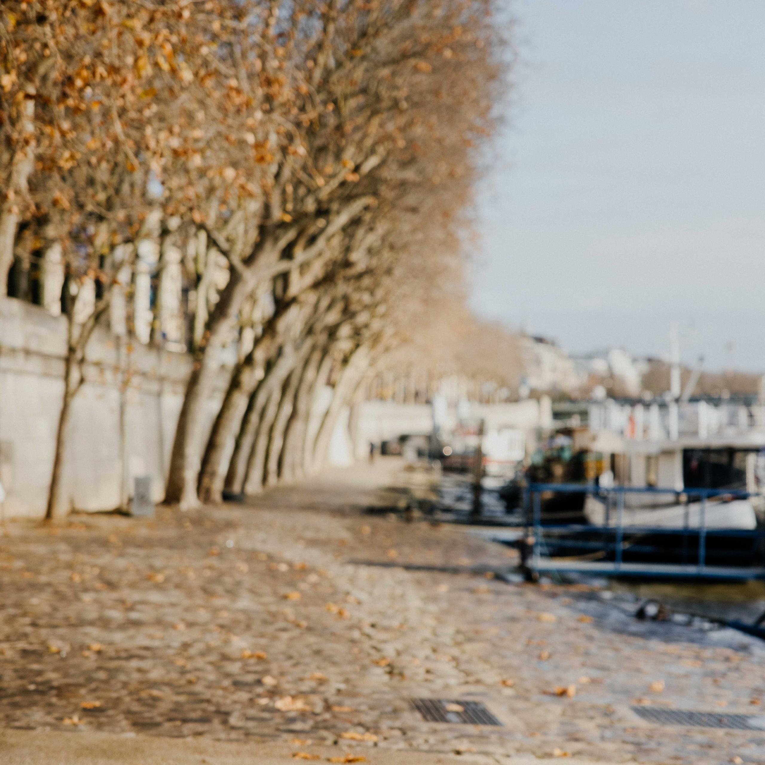 Leo in Paris / family shooting. Photographe à Paris