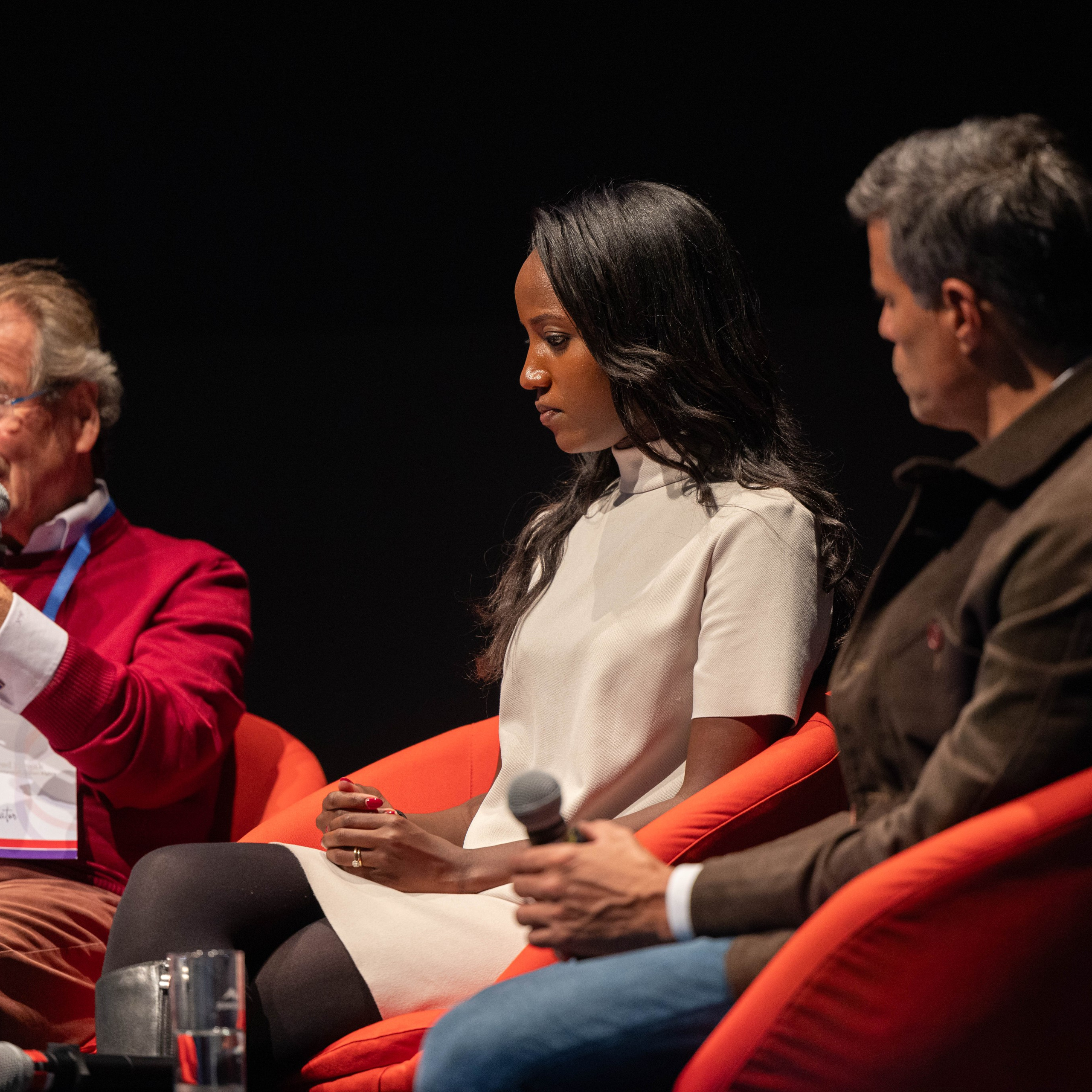Conférence sur les prisonniers politiques, Vienne. Photographe à Paris