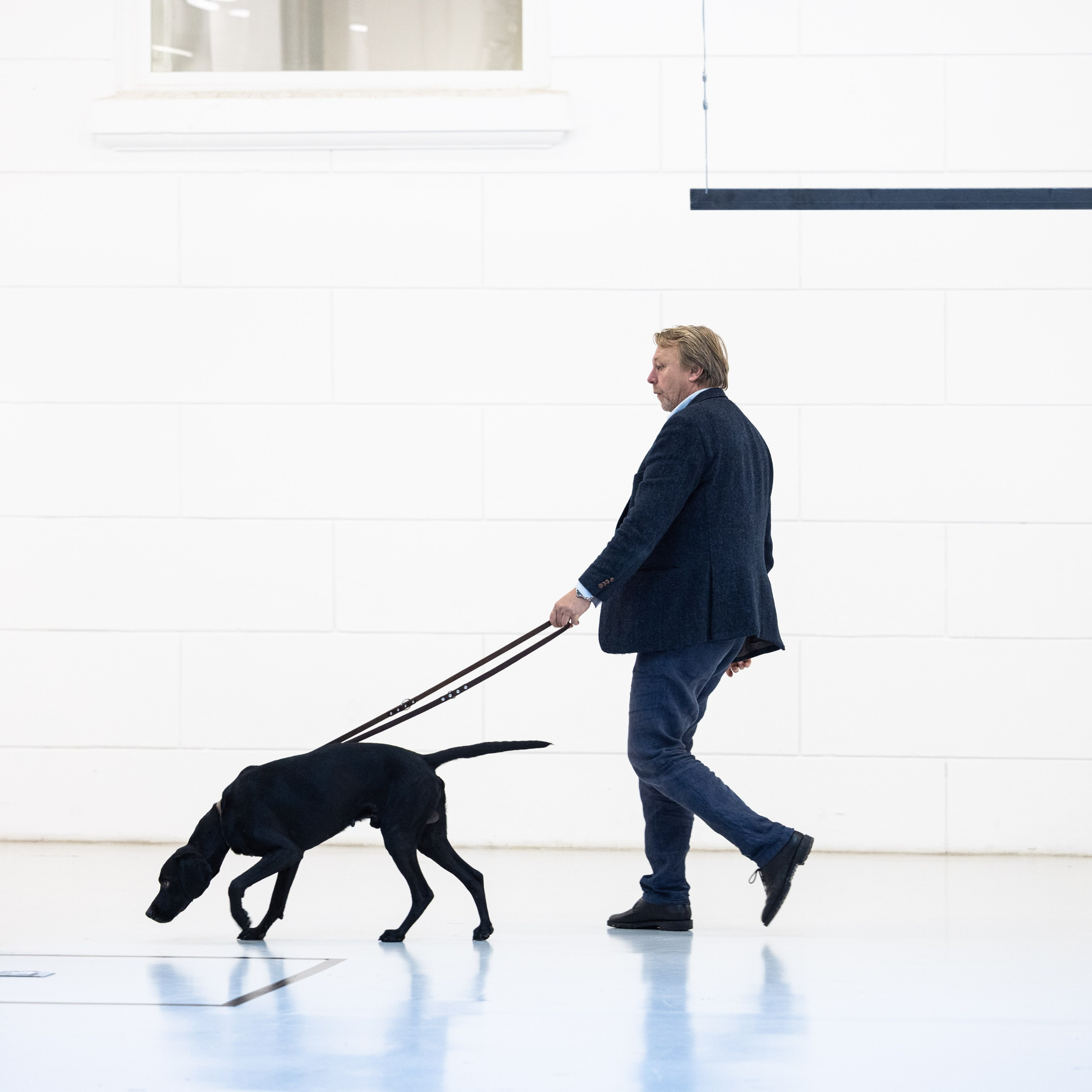 Conférence sur les prisonniers politiques, Vienne. Photographe à Paris