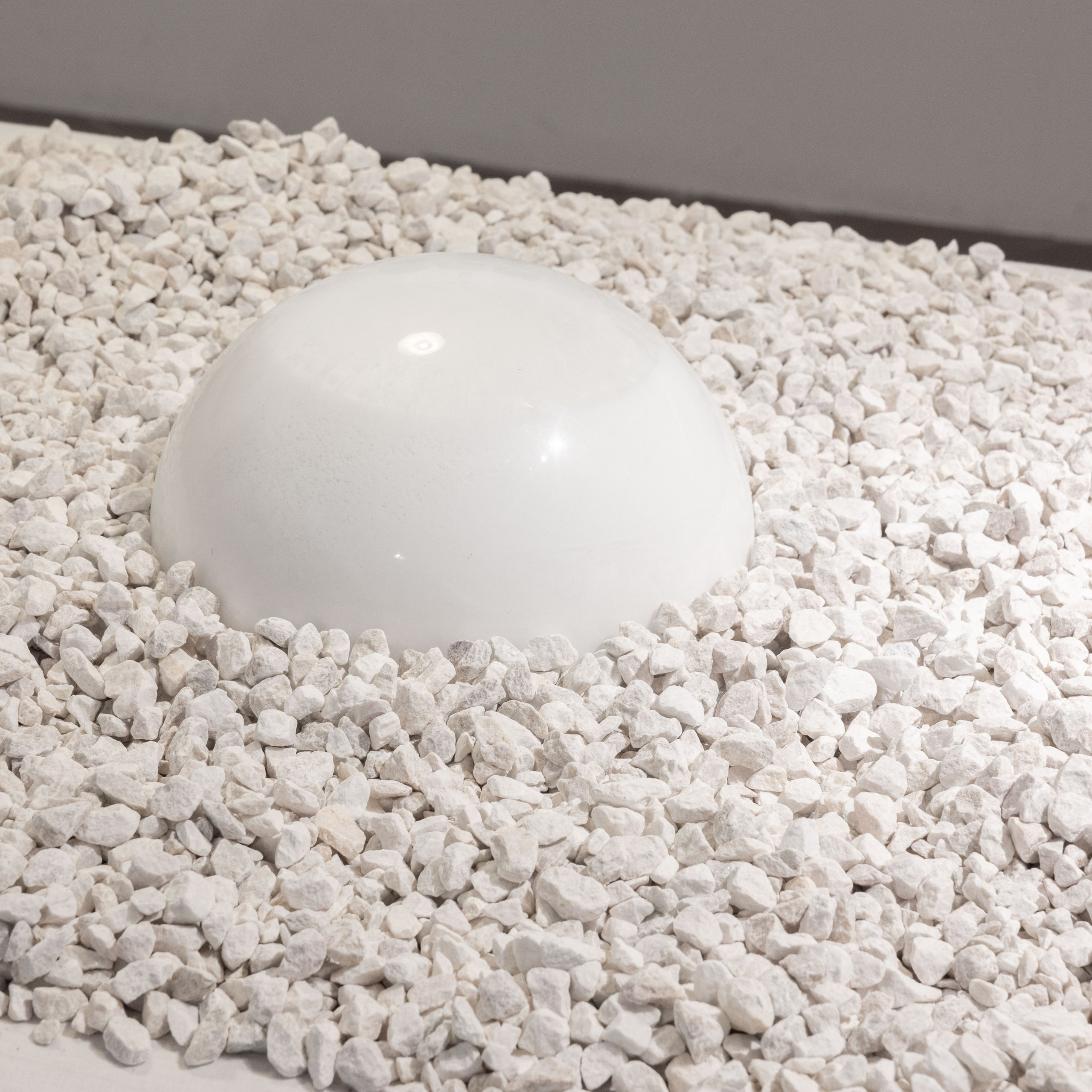 Exhibitions. Photographe à Paris