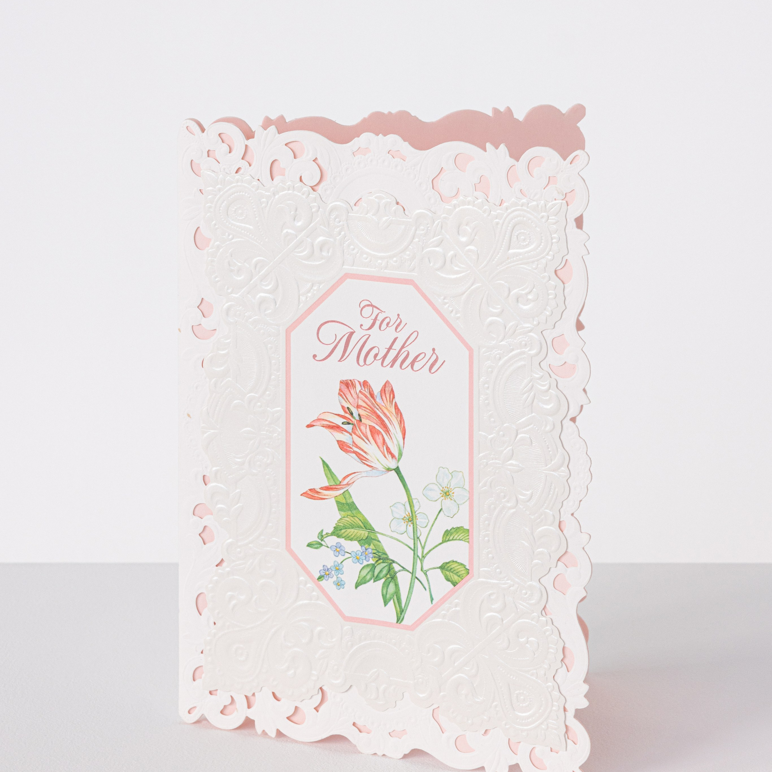 Exhibitions. Photographe à Paris