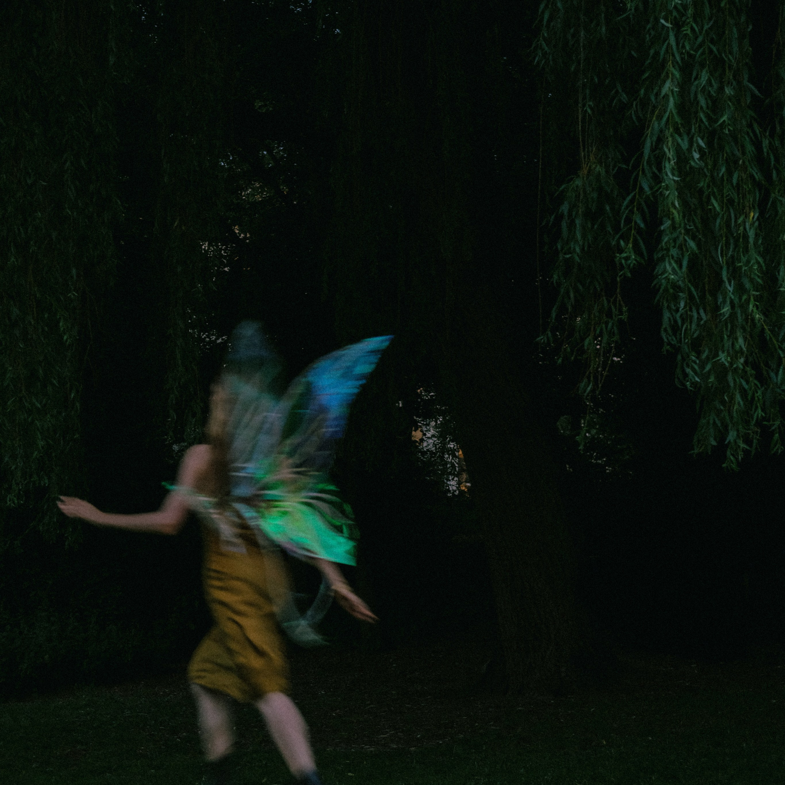I&nbsp;saw a&nbsp;fairy