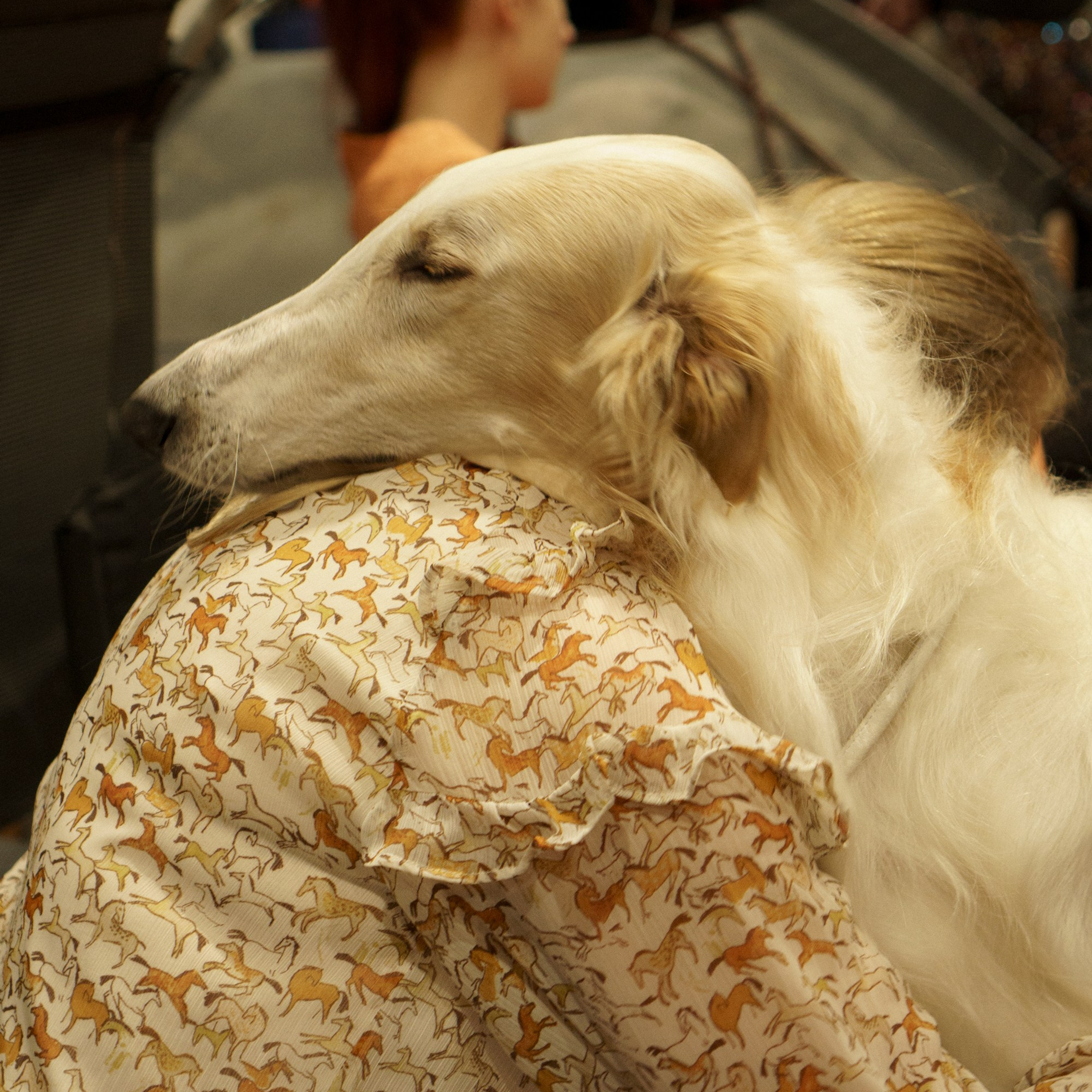 Tartu IDS, 10 nov. 2024