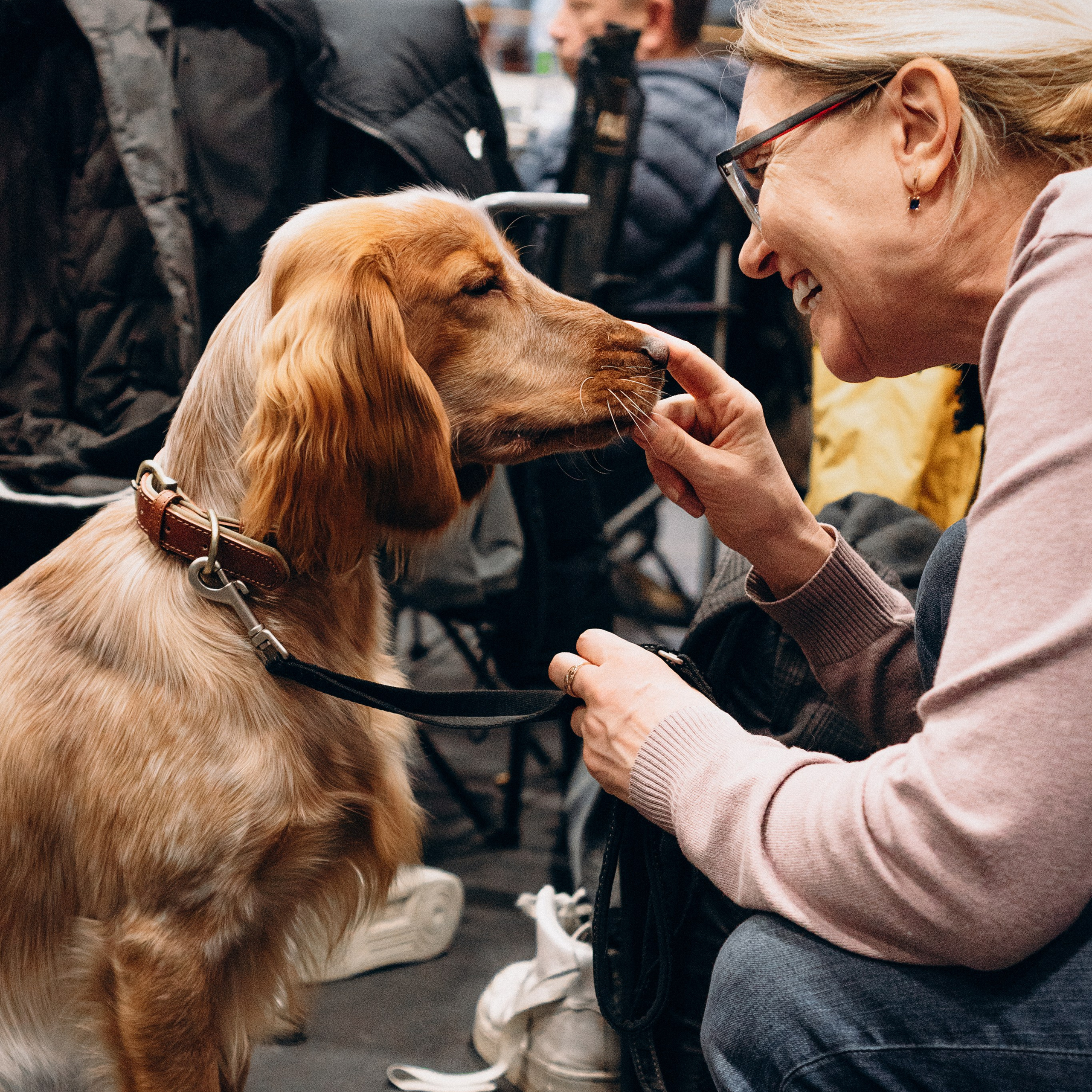 Pärnu Dog weekend, 11 jan. 2025