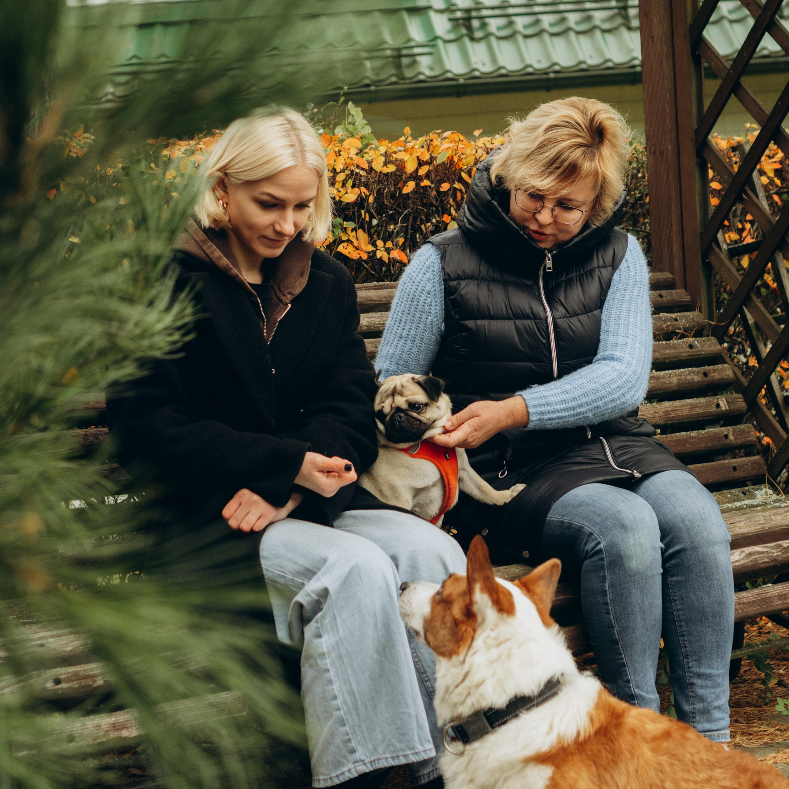 Jelena, Katja, Sandy & Safiir