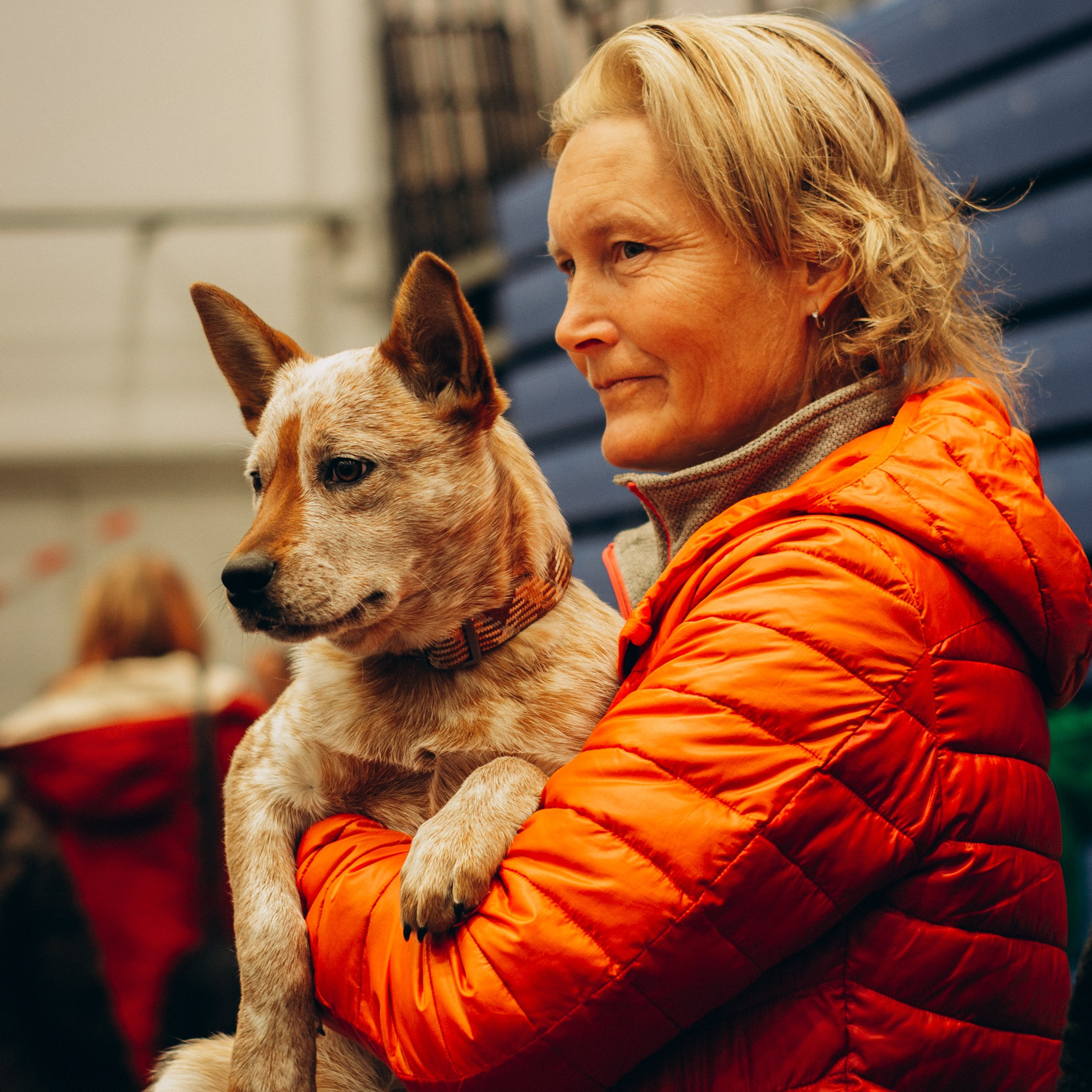 Rakvere Dog show, 5 oct. 2024